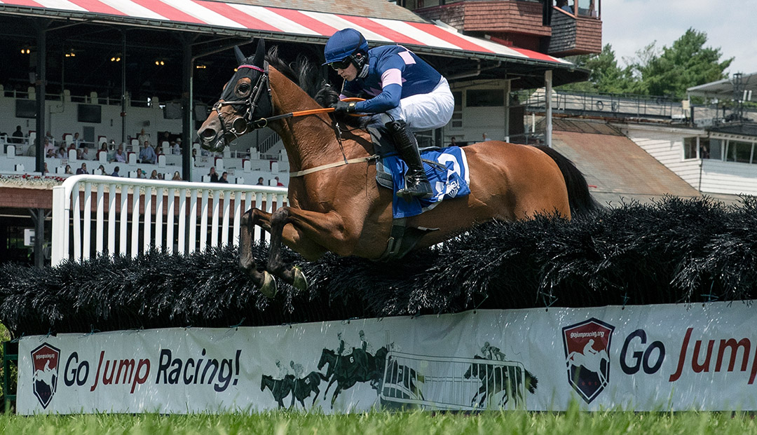 Baltimore Bucko wins the 2021 A. P. Smithwick Steeplechase at Saratoga