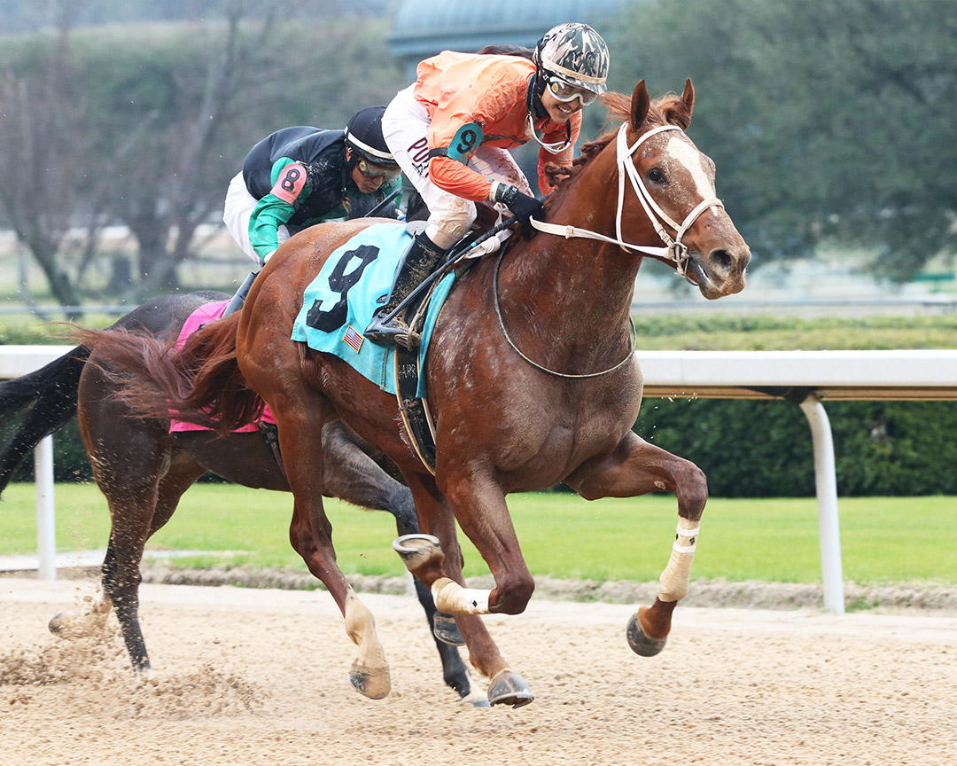 Bandit Point wins a February 2020 allowance at Oaklawn Park