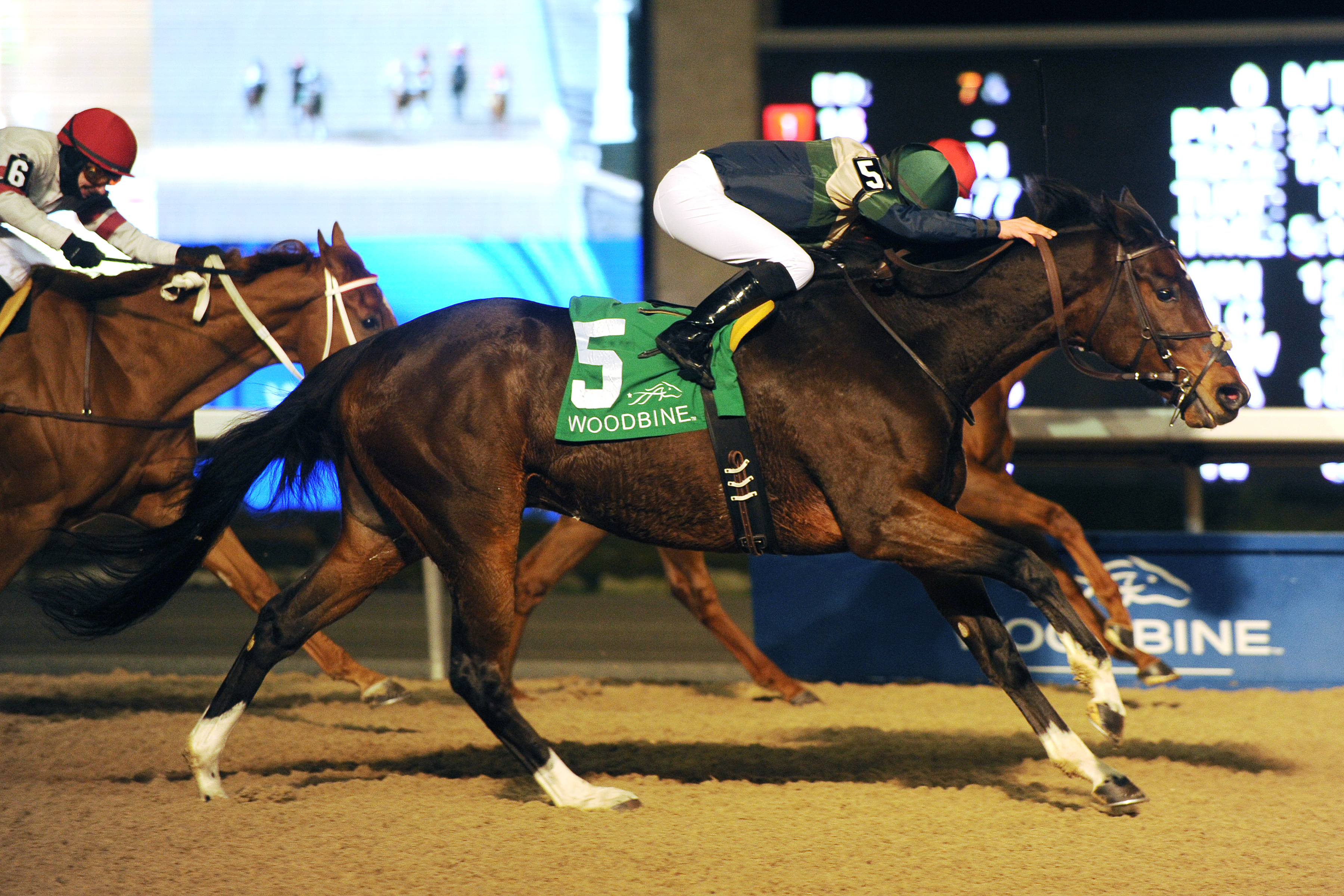 Bangkok wins the 2016 Valedictory Stakes