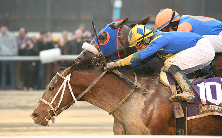 Bank On Shea wins the Great White Way Stakes at Aqueduct Racetrack