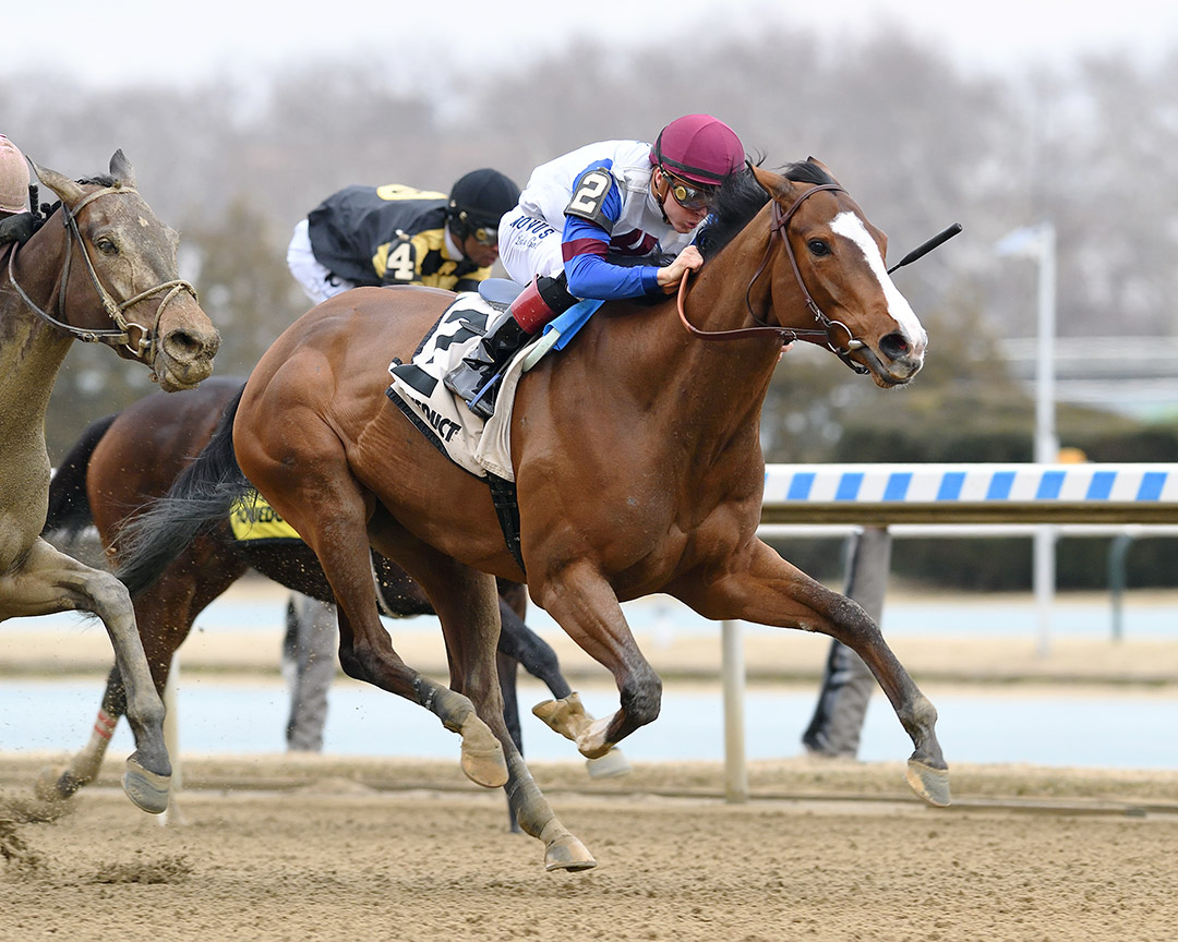 Bank Sting wins the Heavenly Prize Stakes at Aqueduct