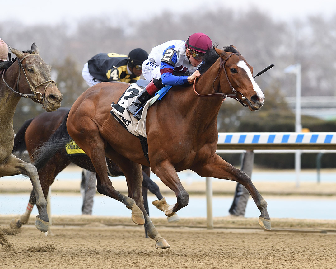 Bank Sting wins the 2022 Heavenly Prize Stakes at Aqueduct