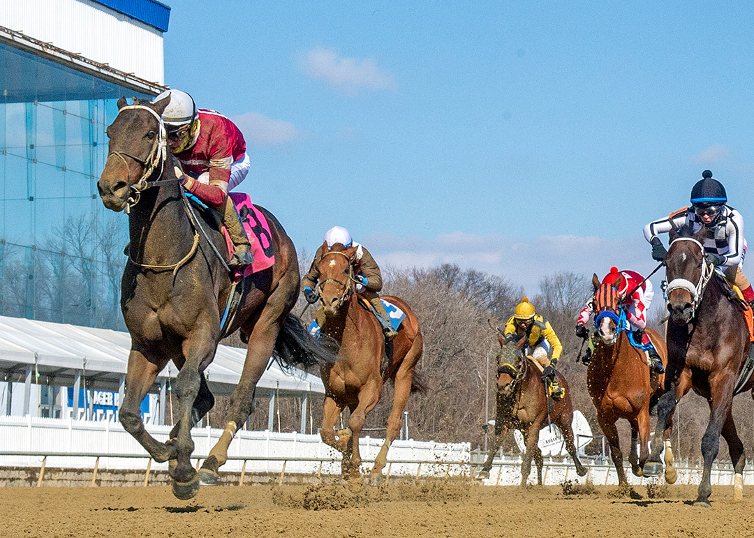 Bankit wins the 2021 John B. Campbell Stakes at Laurel Park