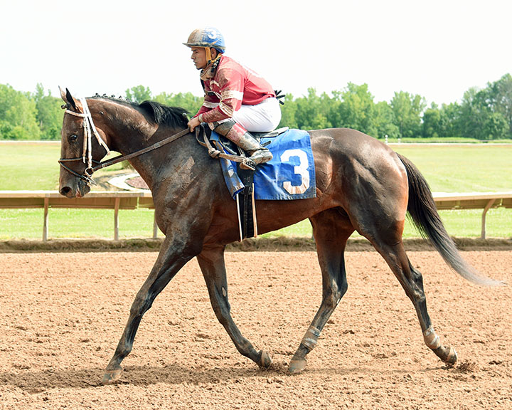 Bankit after winning the 2019 New York Derby