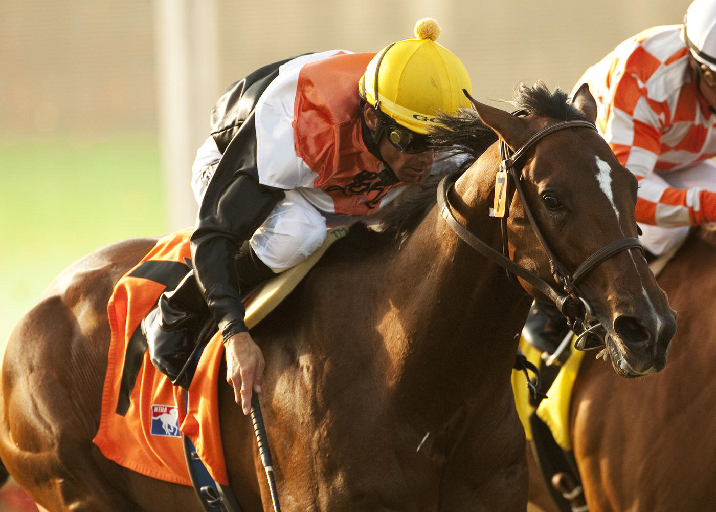 Banned/Del Mar Derby