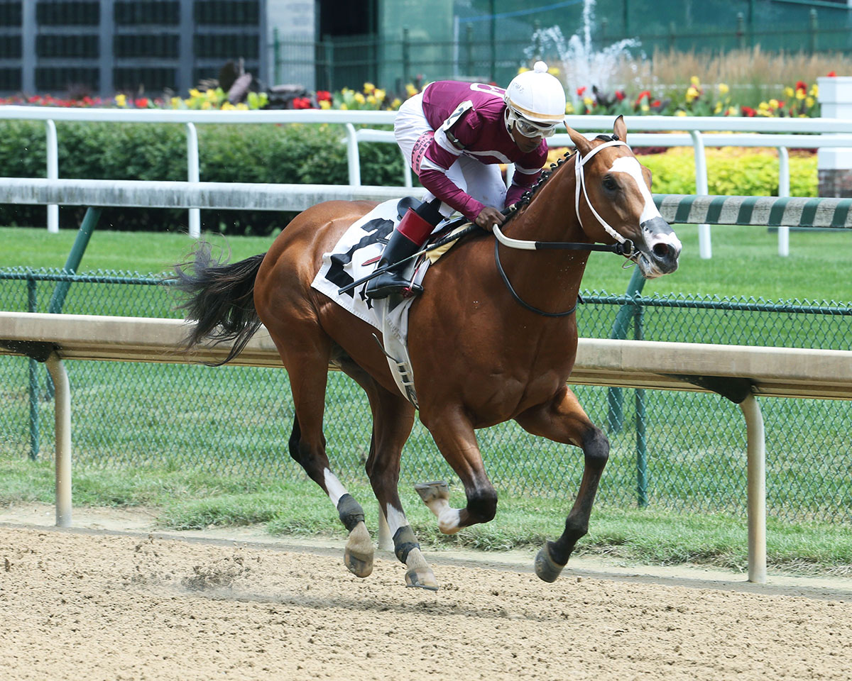 Bano Solo wins a June 23 maiden race
