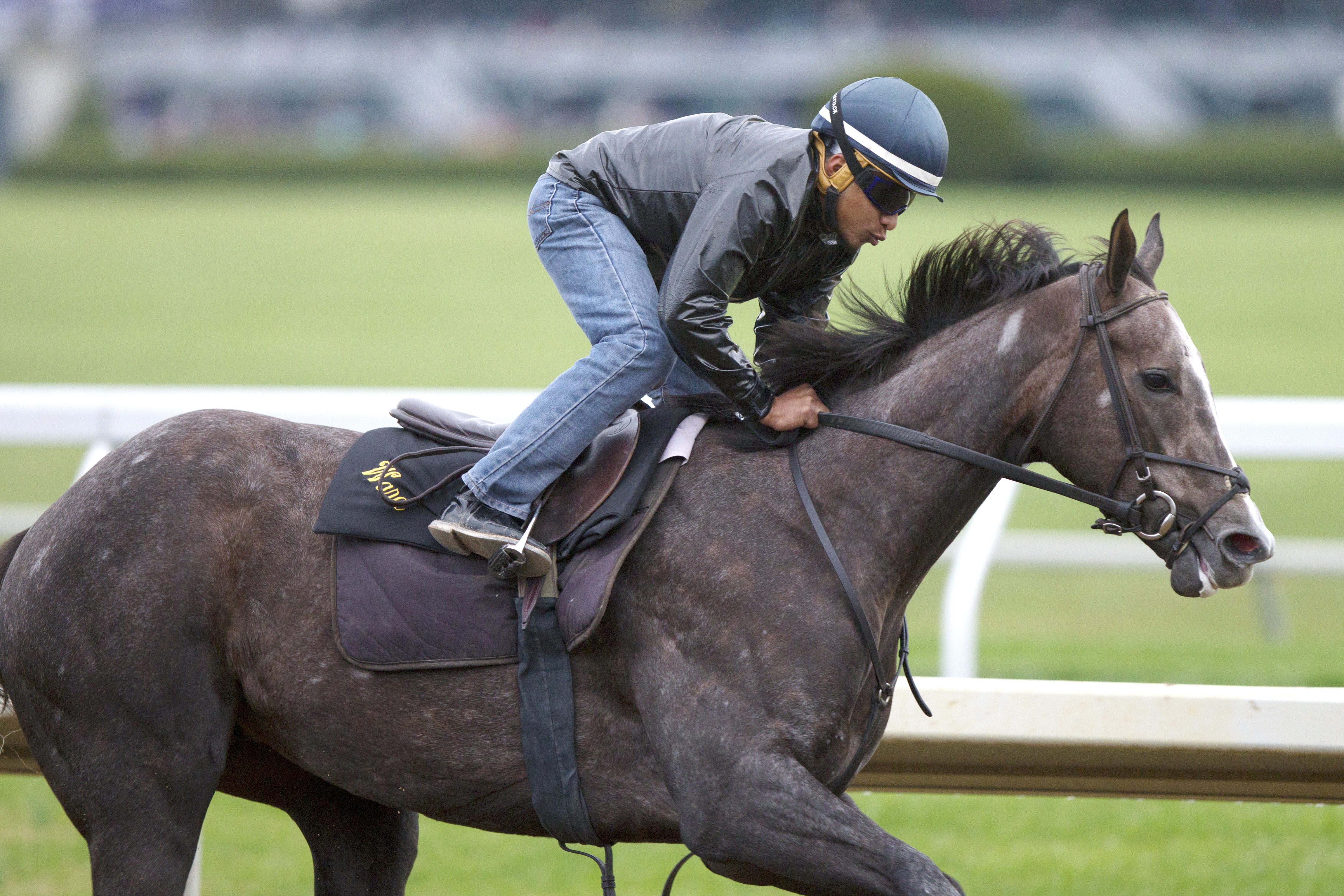 Banree trains at Santa Anita in October 2015