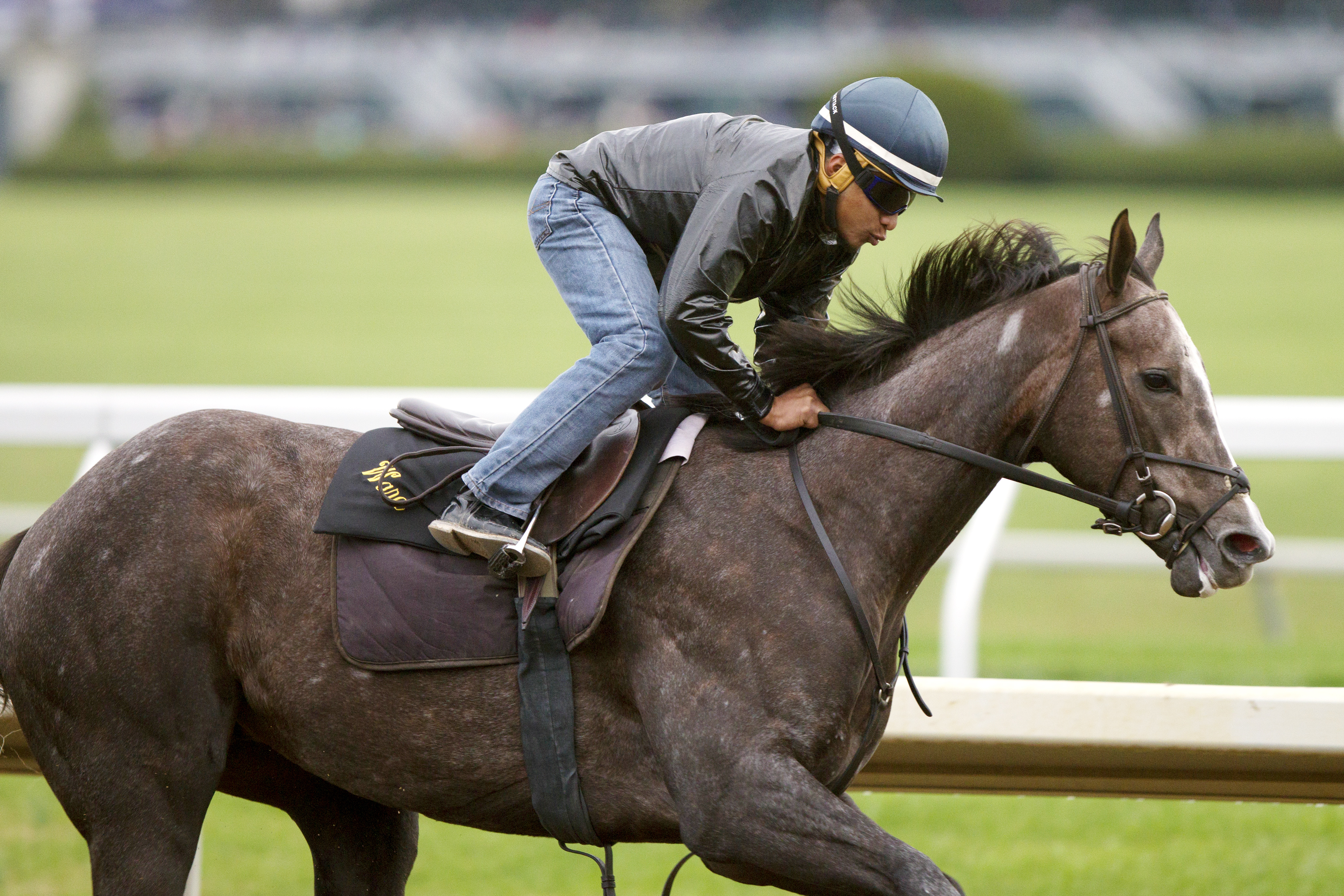Banree trains at Keeneland in October 2015