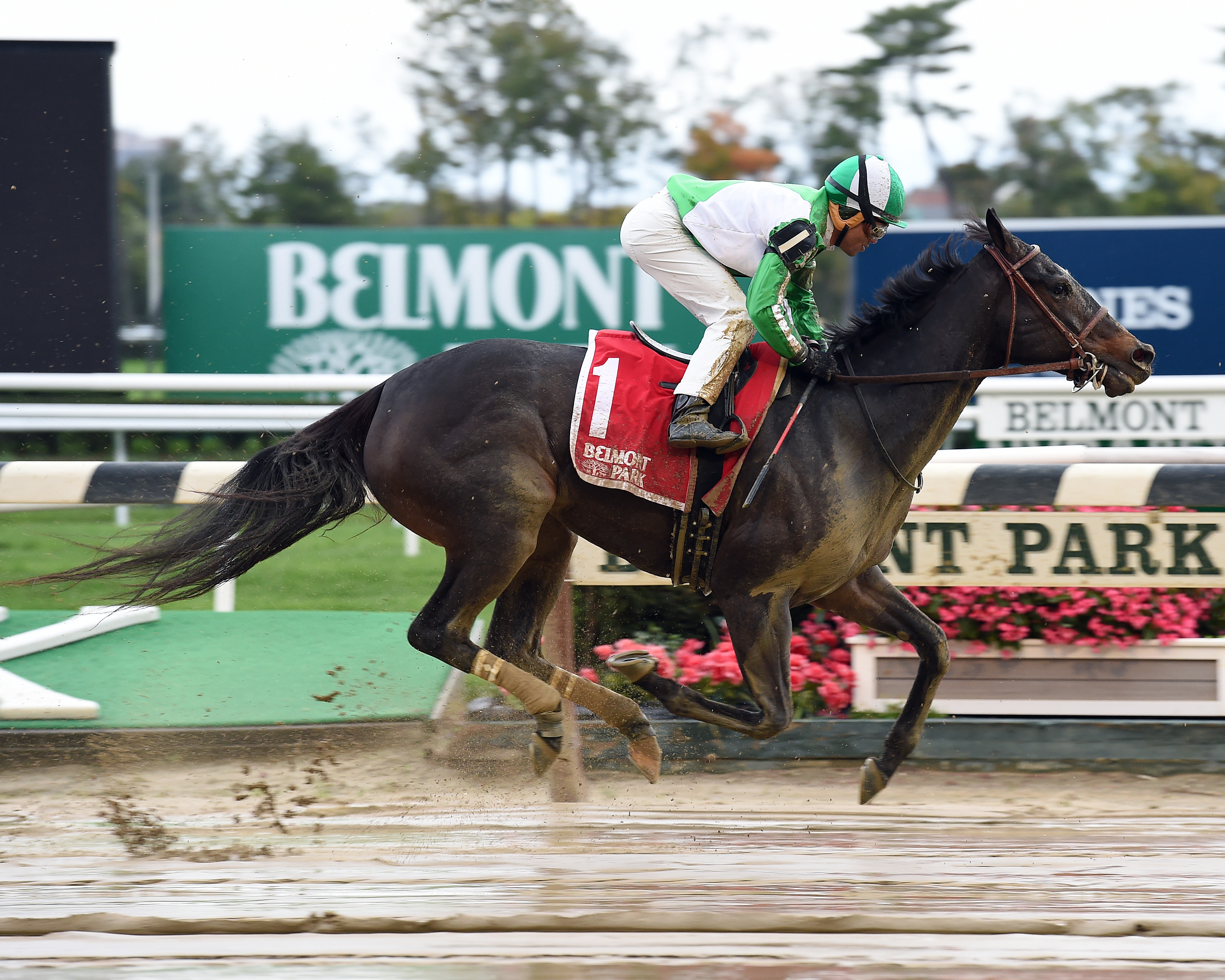 Bar of Gold wins the Empire Distaff
