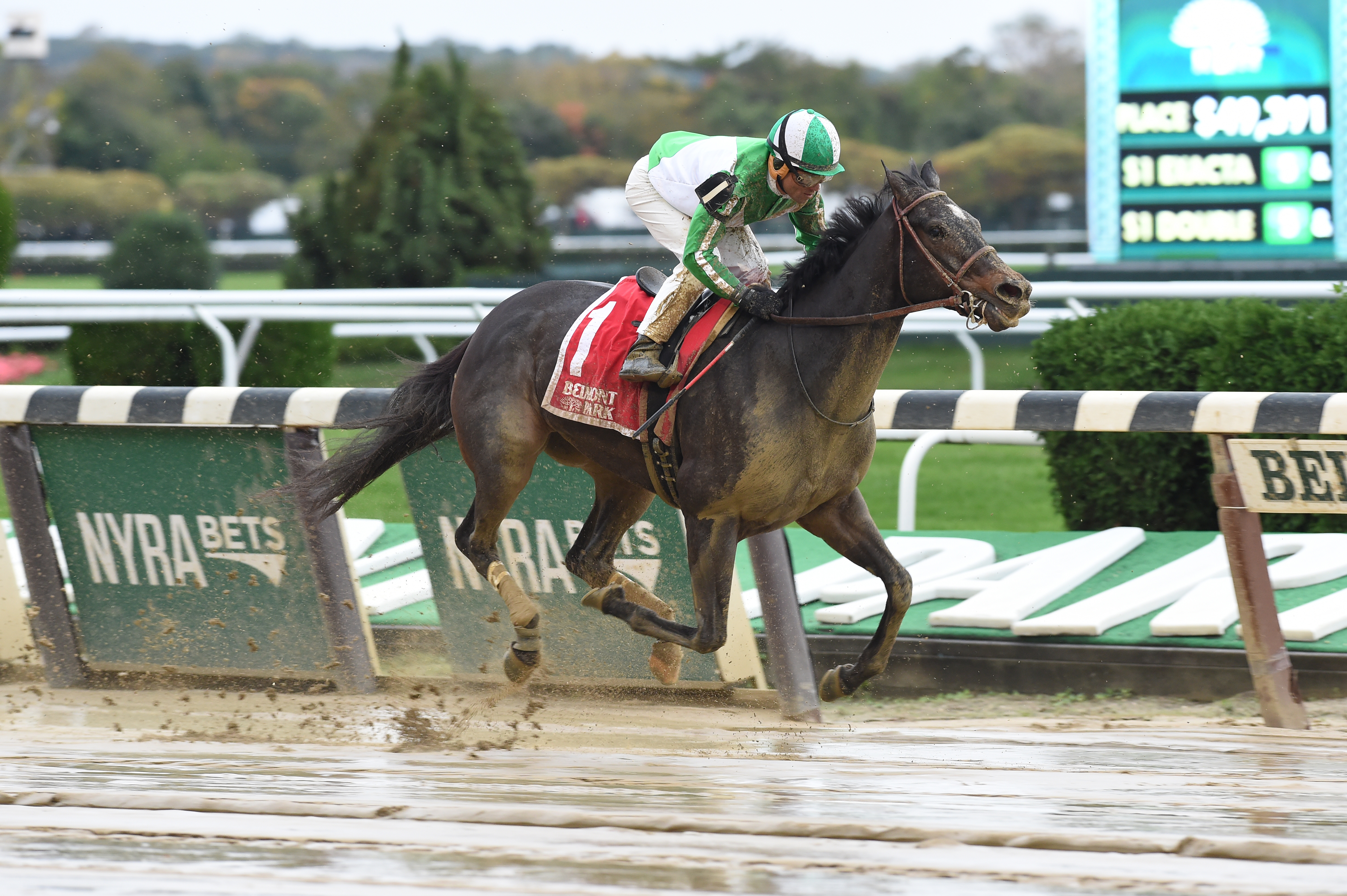 Bar of Gold wins the Empire Distaff