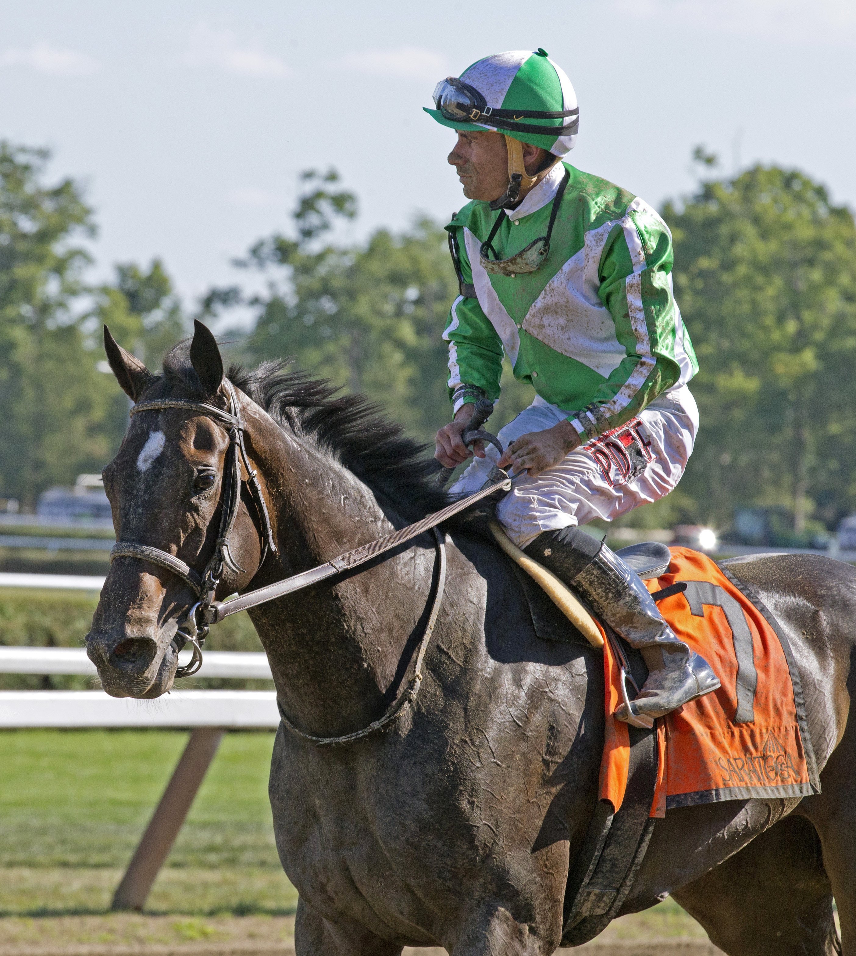 Bar of Gold finishes seventh in the Honorable Miss