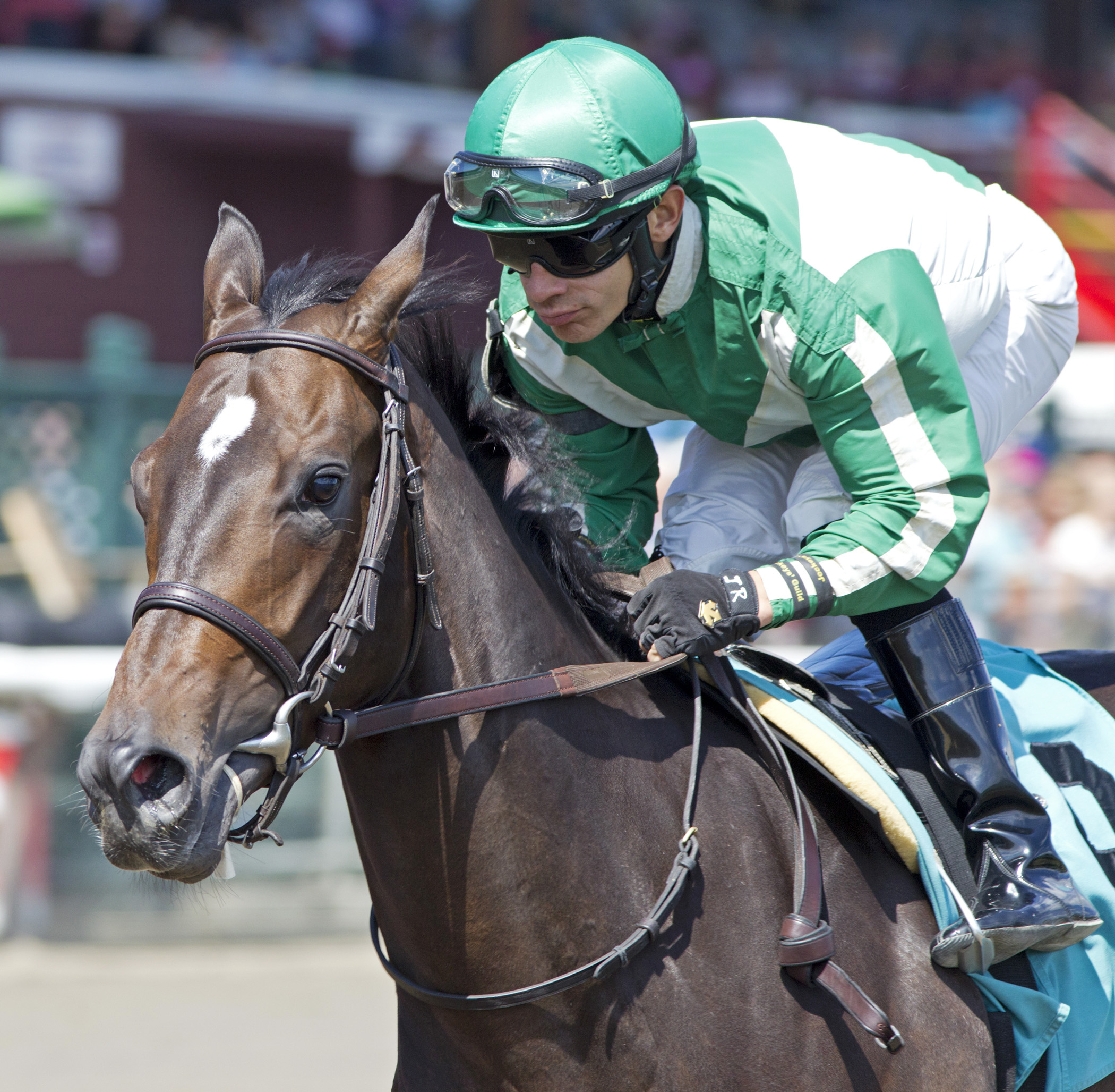Bar of Gold wins a 2014 maiden race