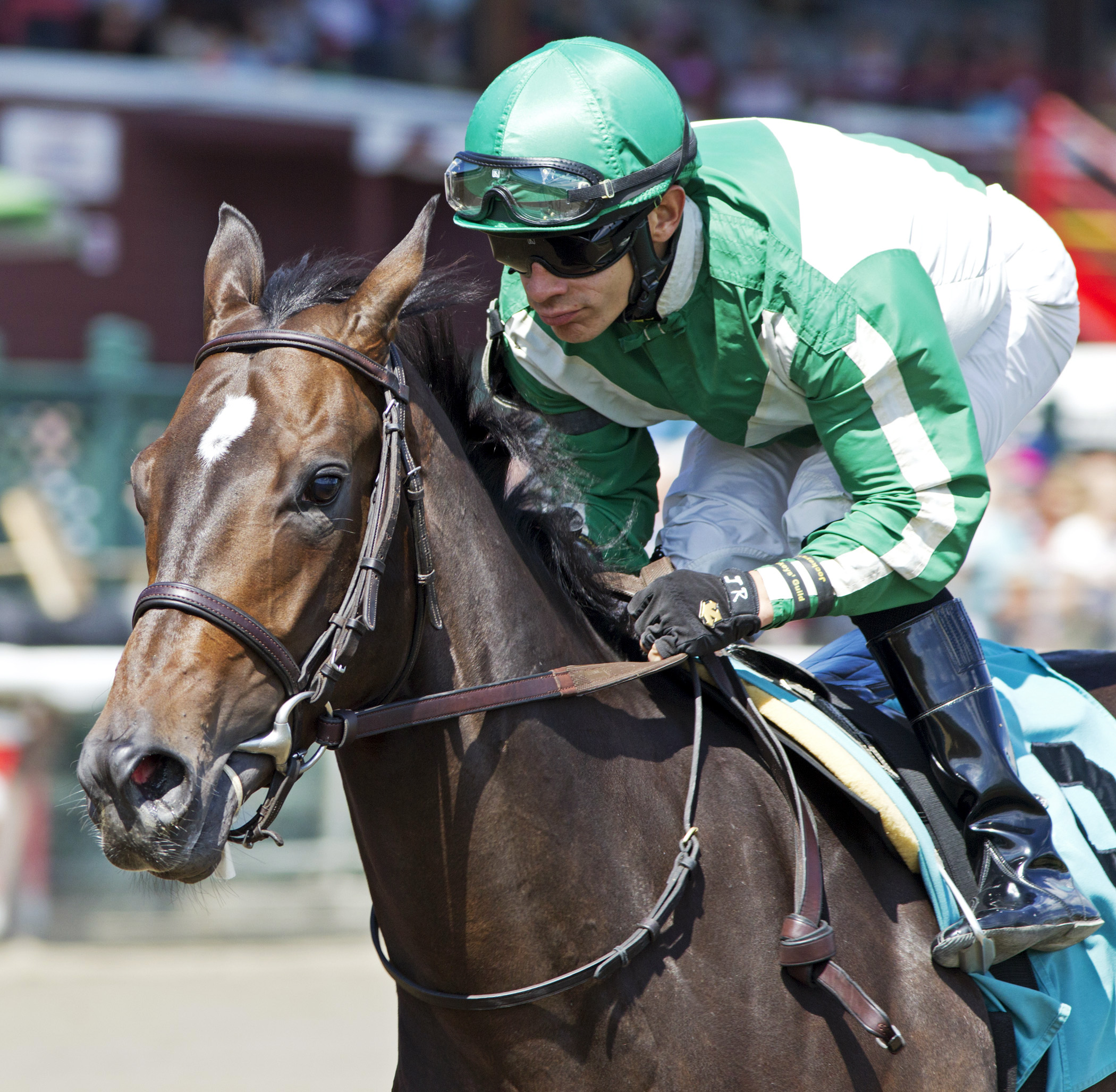 Bar of Gold wins a 2014 maiden race