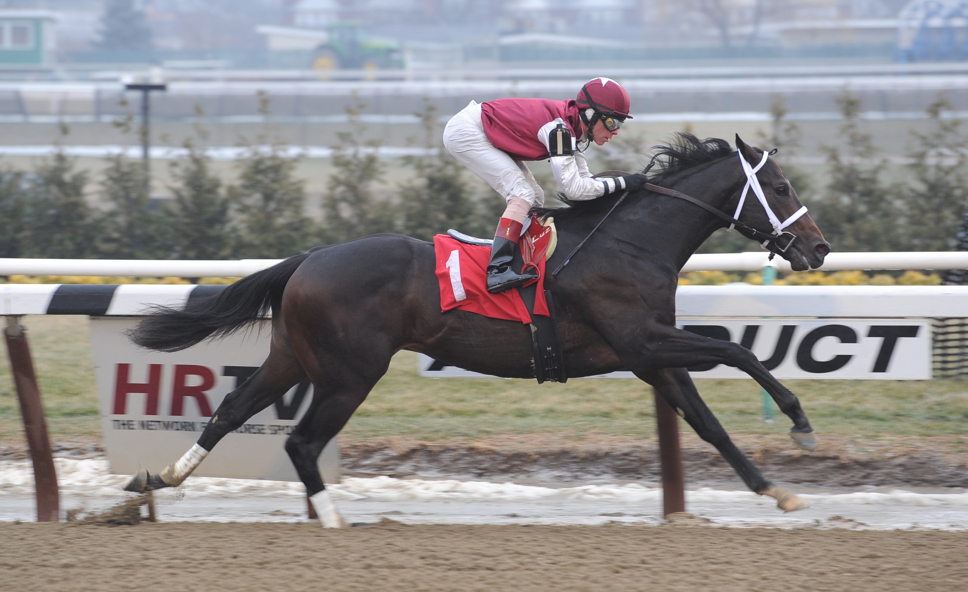 Baratti maiden win