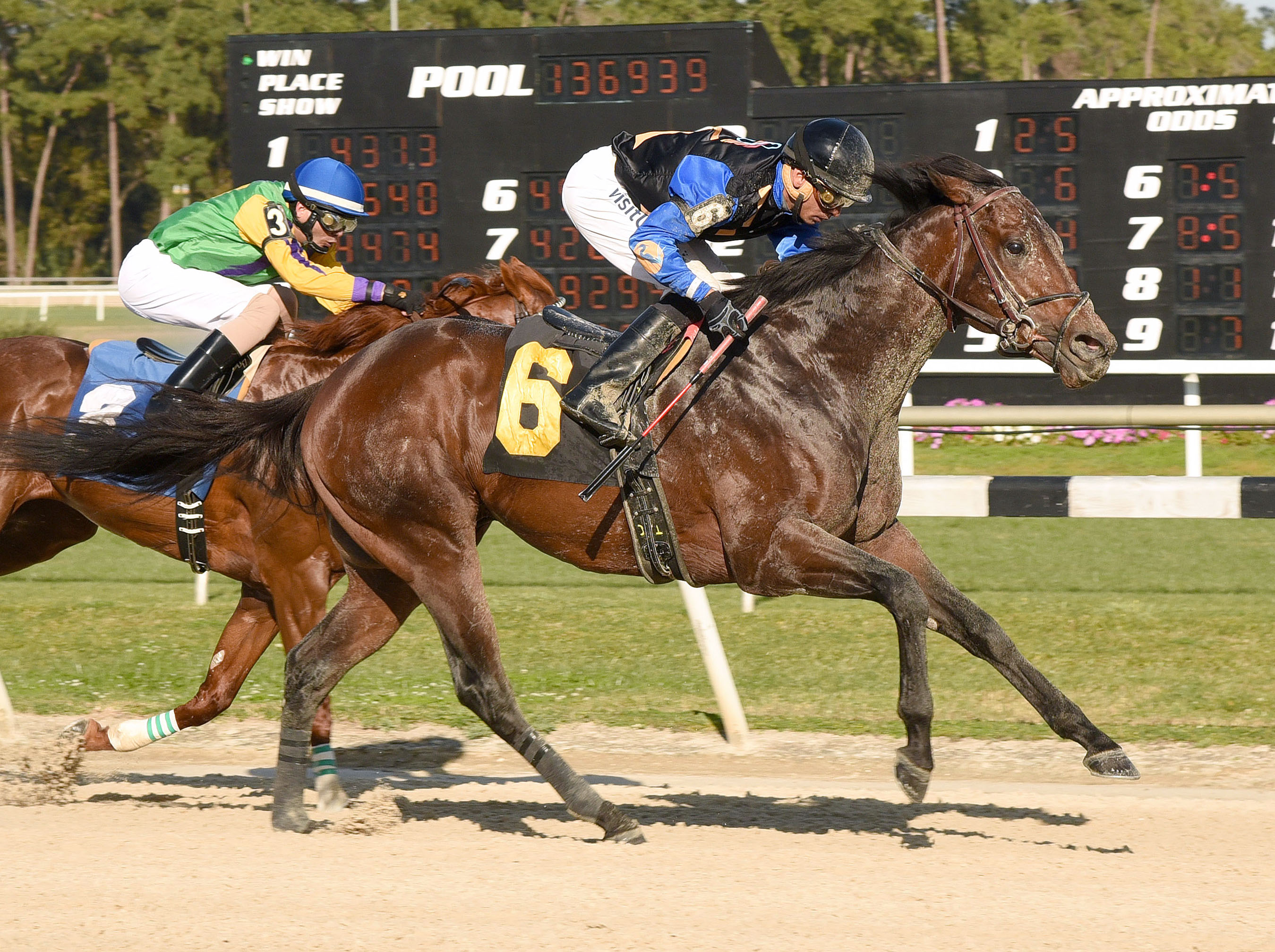 Barbados wins the Pelican Stakes