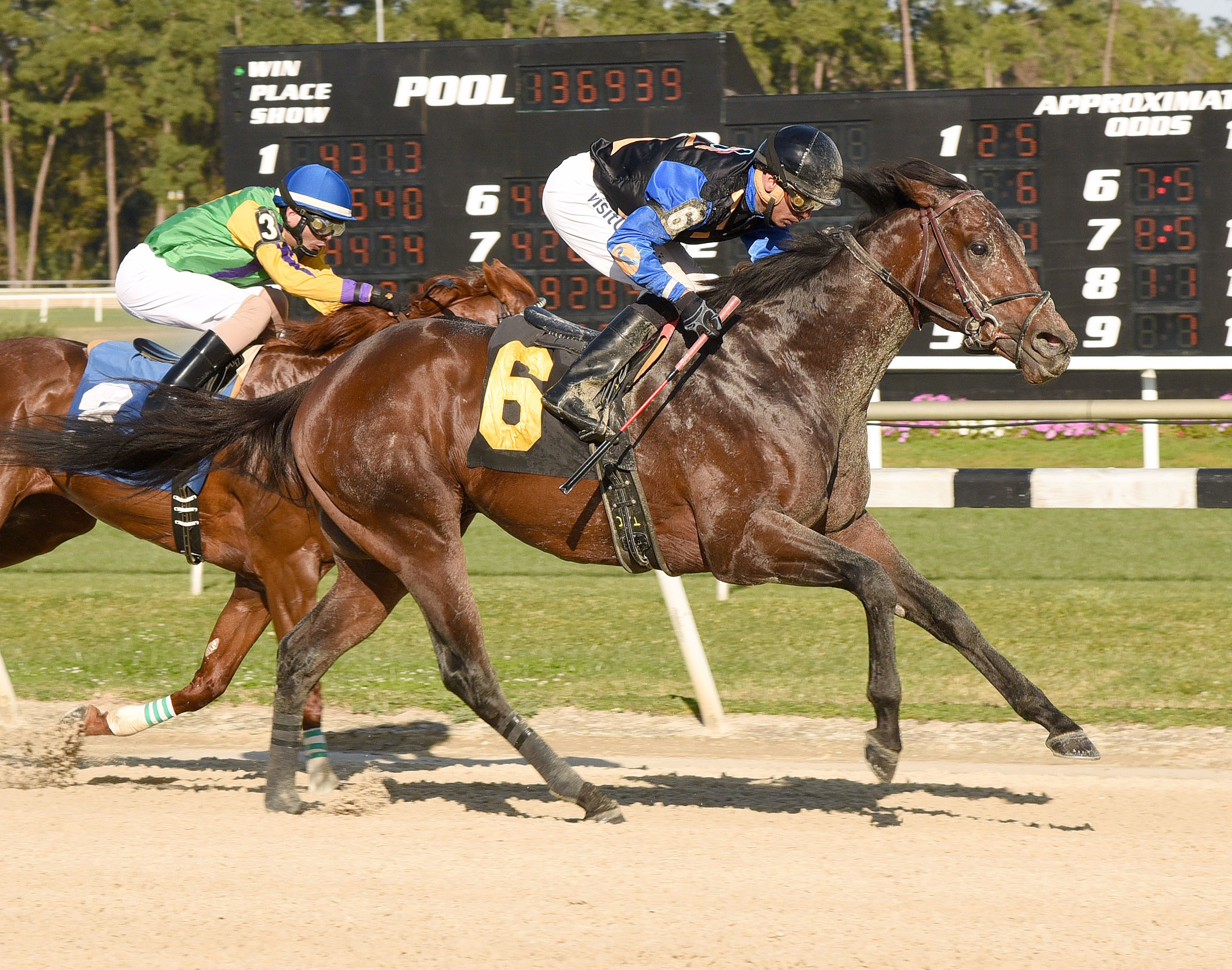 Barbados wins the Pelican Stakes