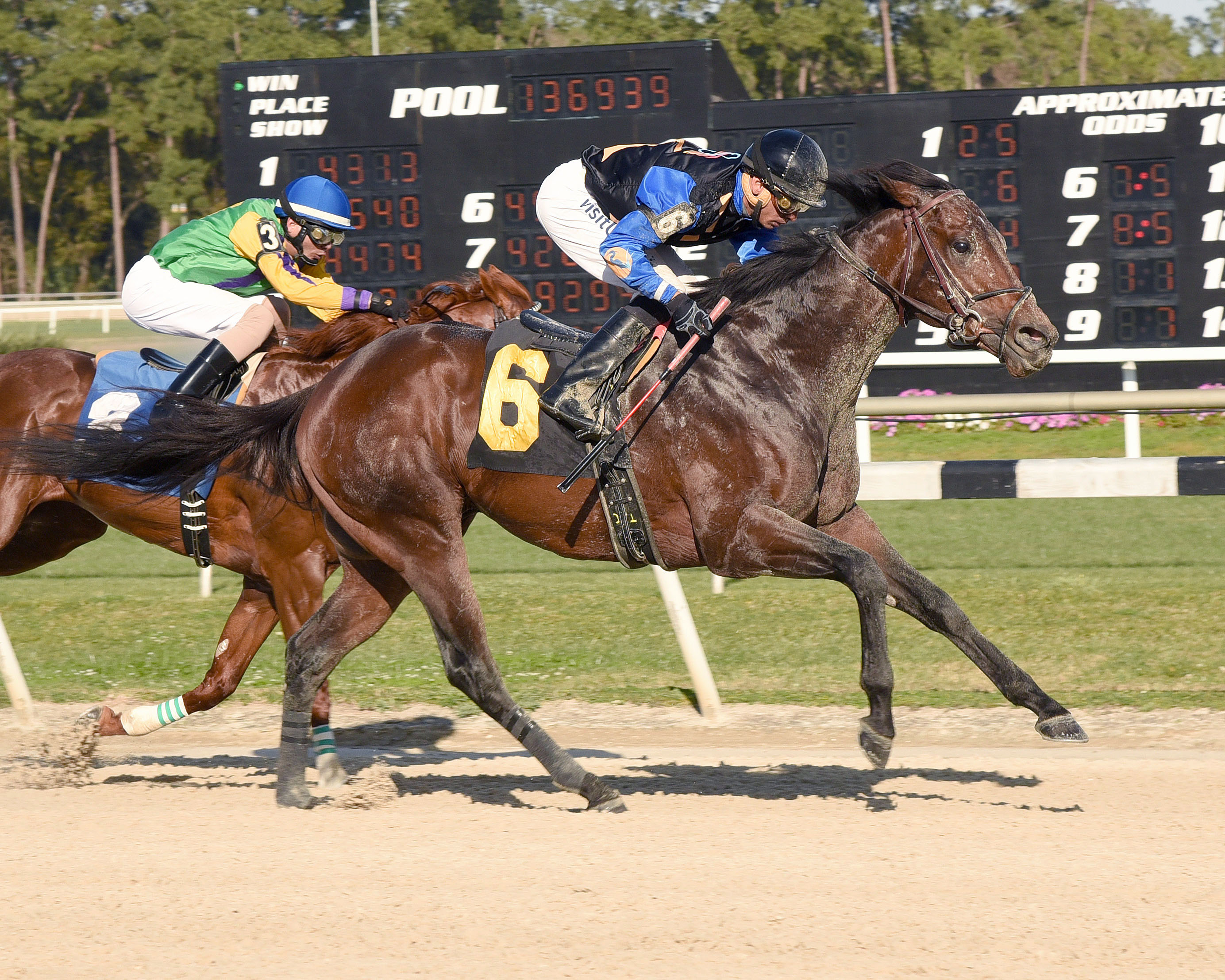 Barbados wins the Pelican Stakes