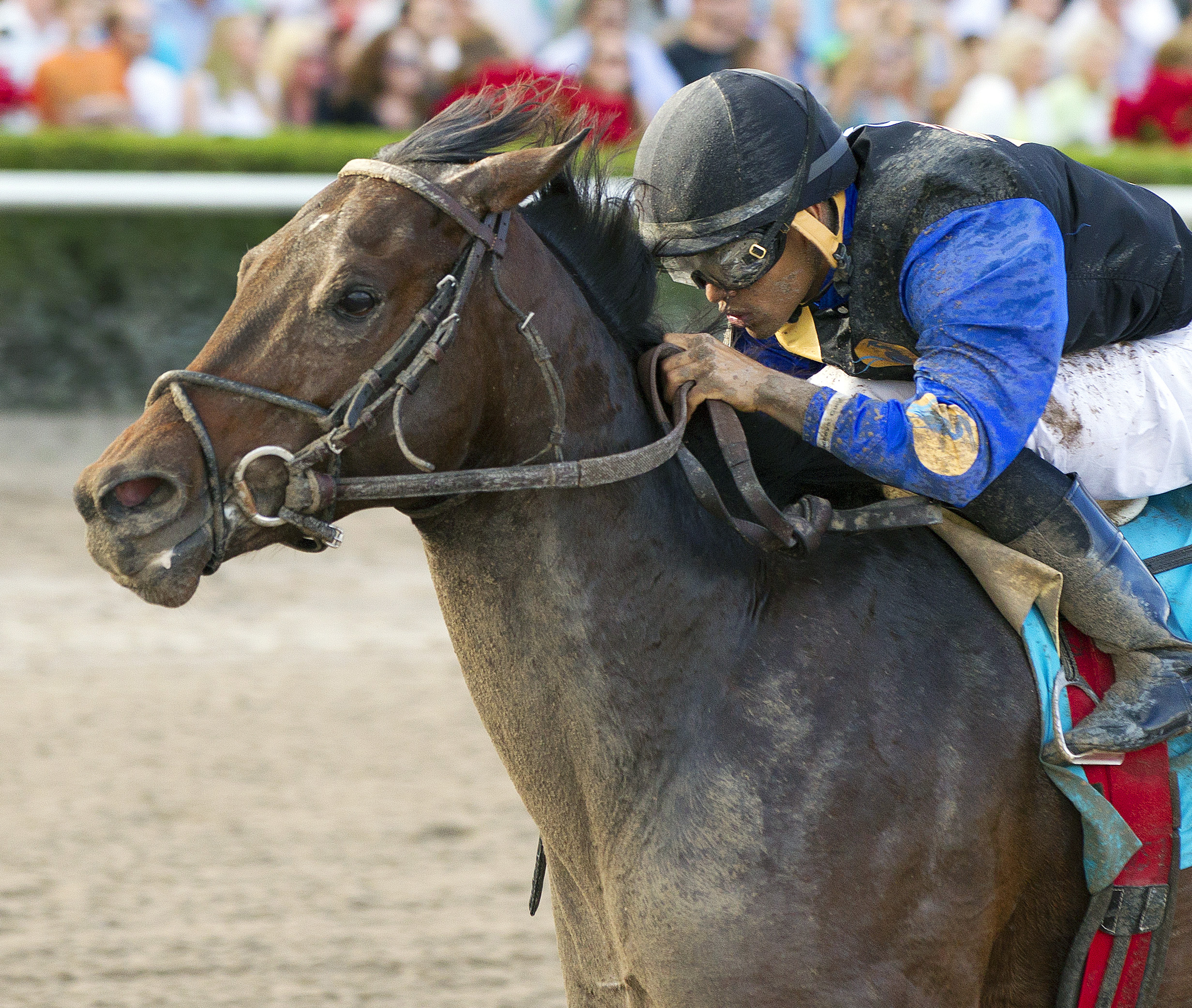 Barbados wins the Spectacular Bid