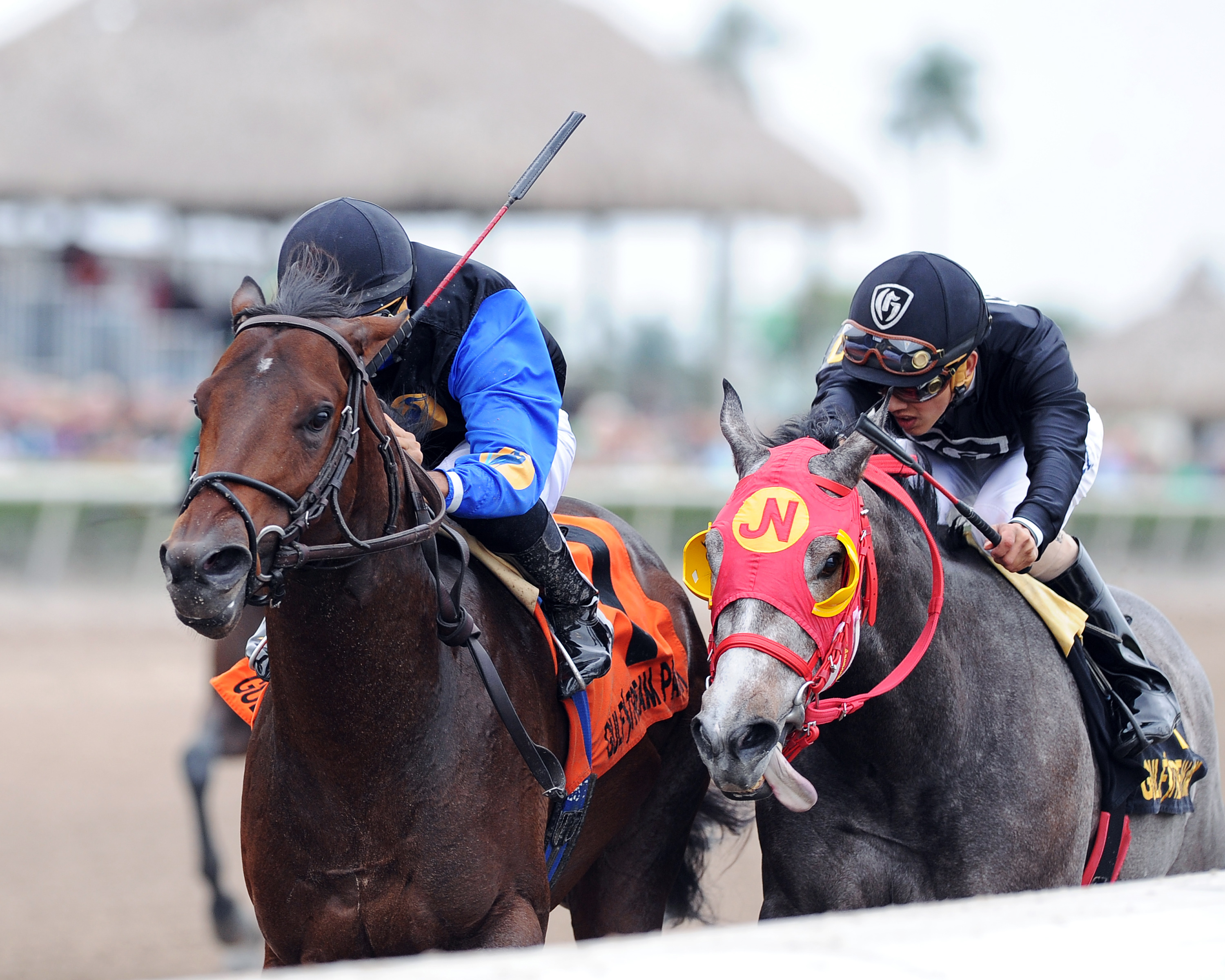 X Y Jet finishes second to Barbados in the Hutcheson
