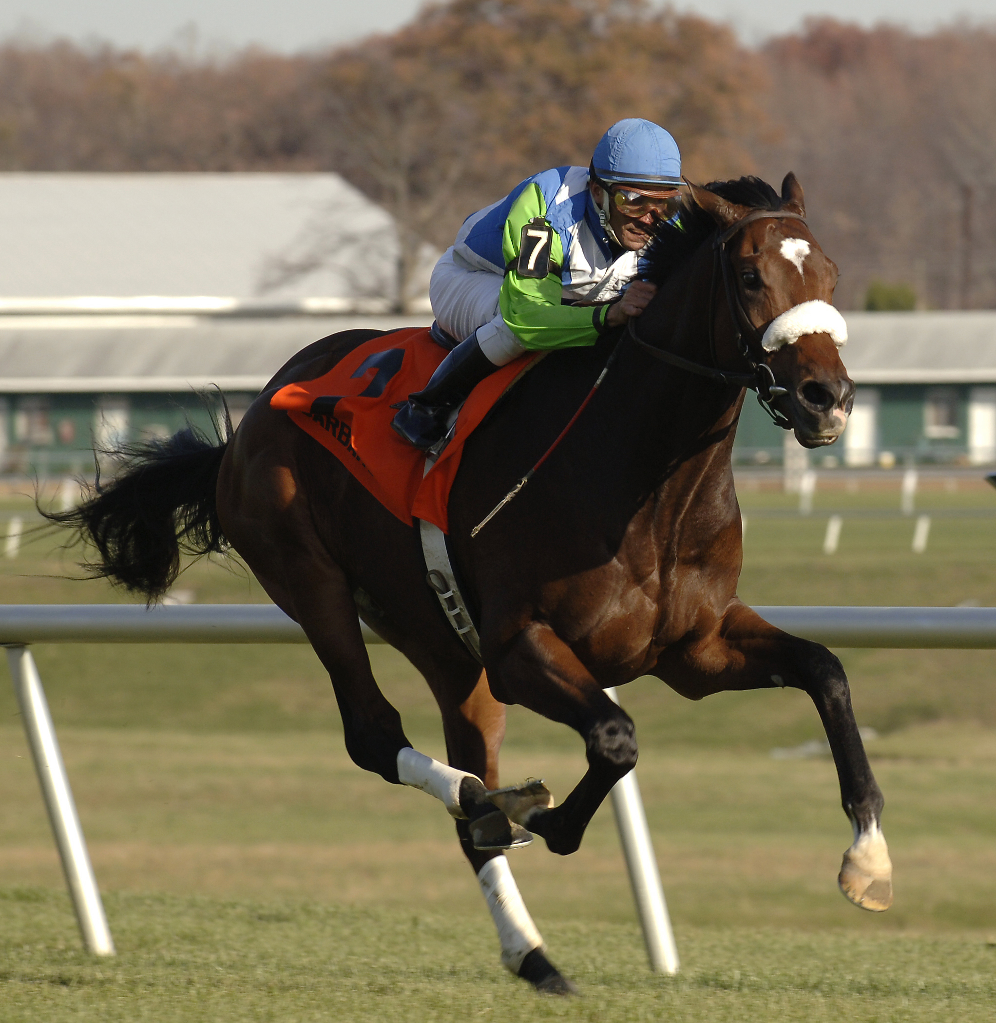 Barbaro wins Laurel Futurity