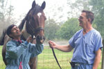 Barbaro