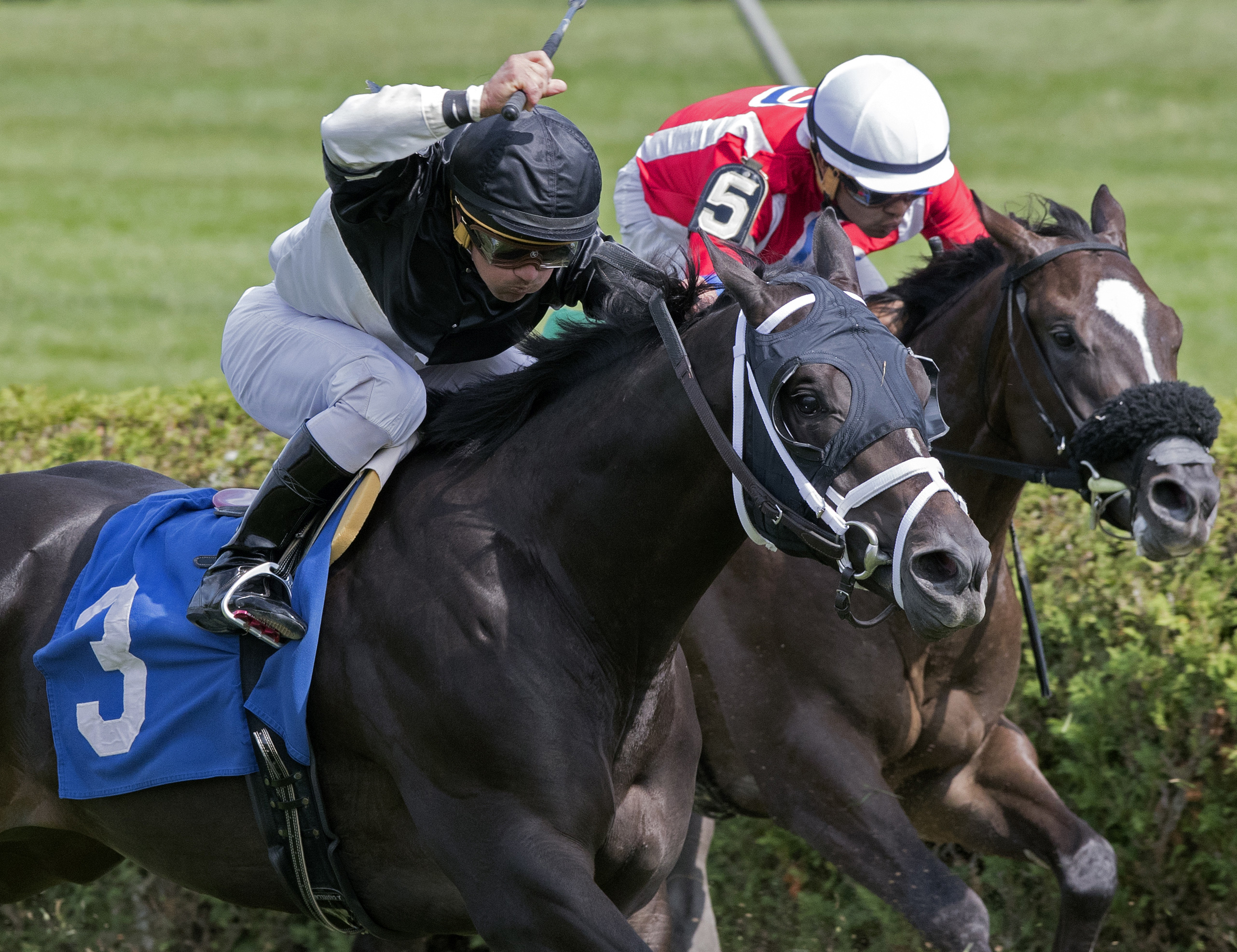 Barbarossa finishes second in an Aug. 25 maiden race