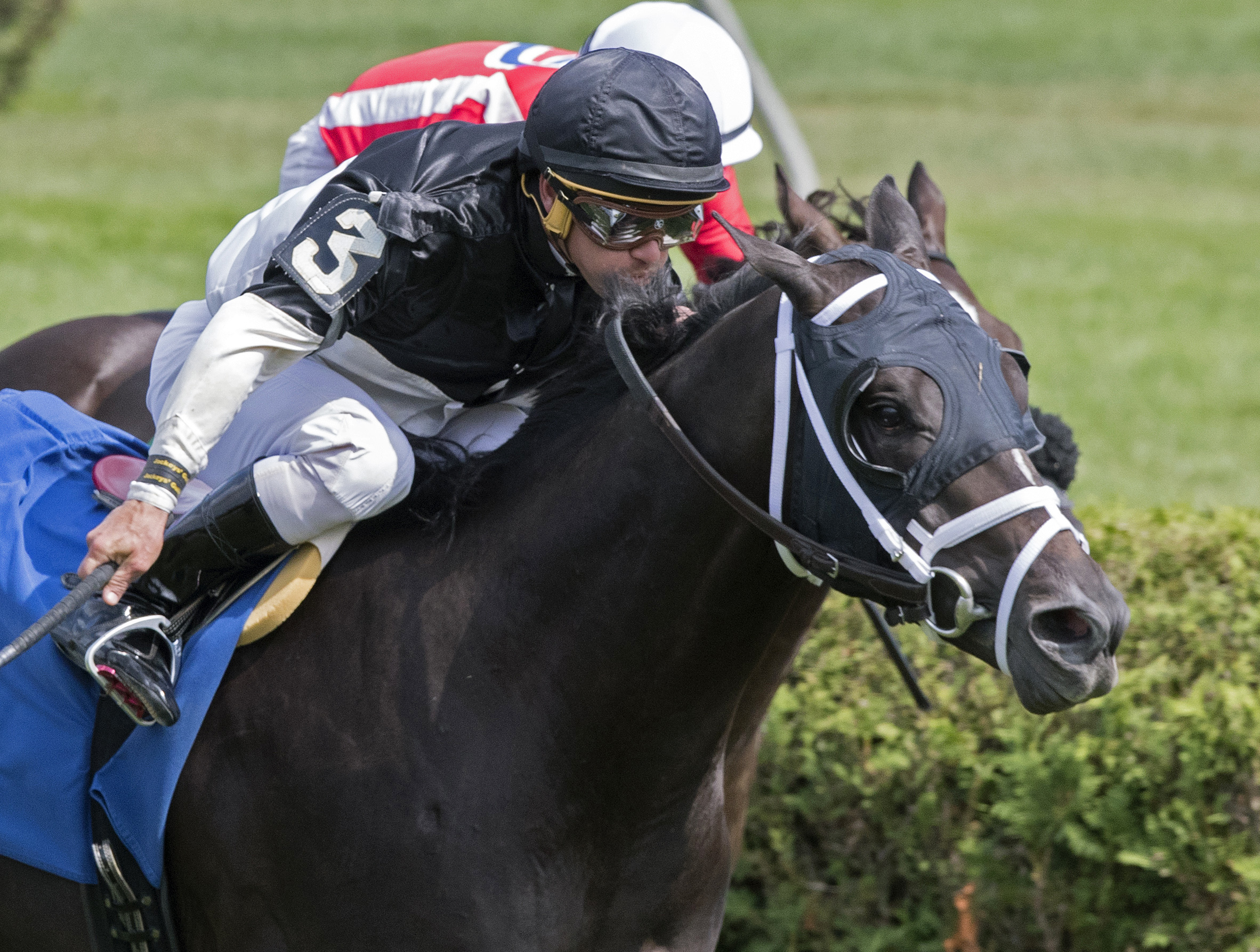 Barbarossa finishes second in an Aug. 25 maiden race