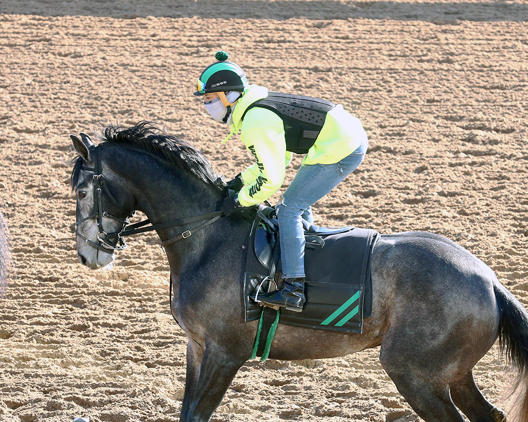 Barber Road at Oaklawn on Feb. 15