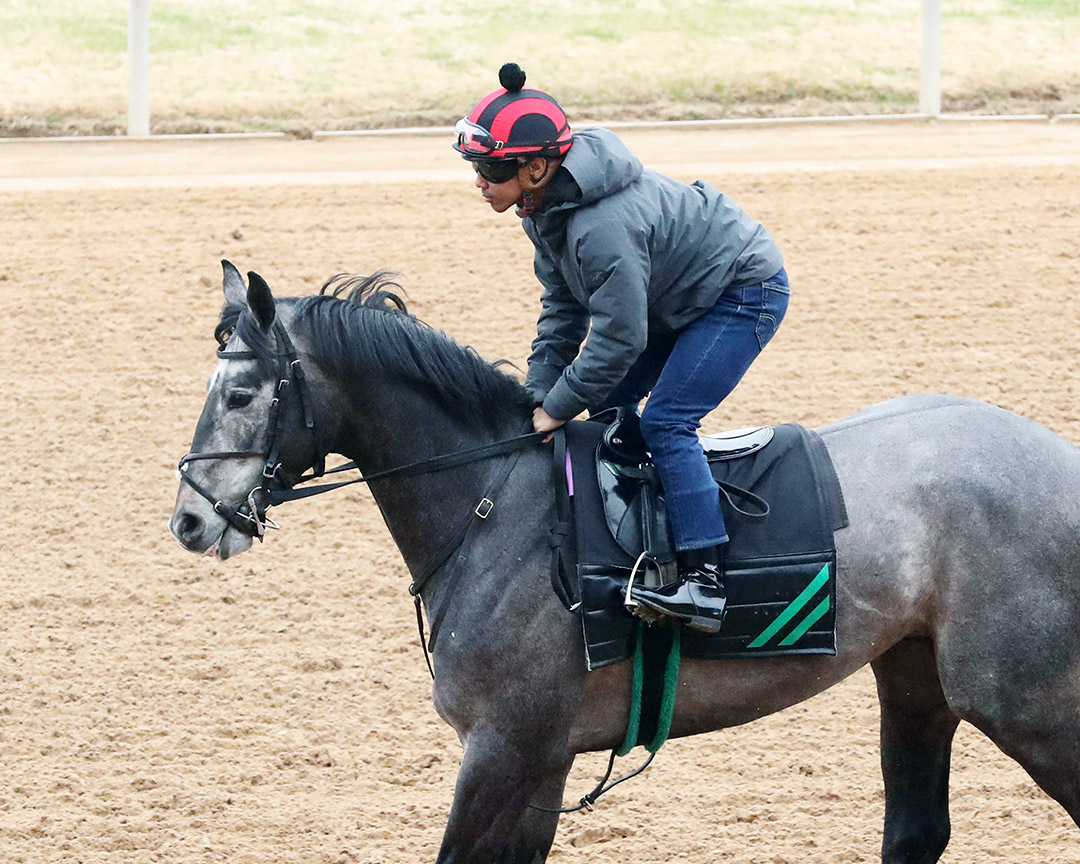 Barber Road at Oaklawn Park on Feb. 21