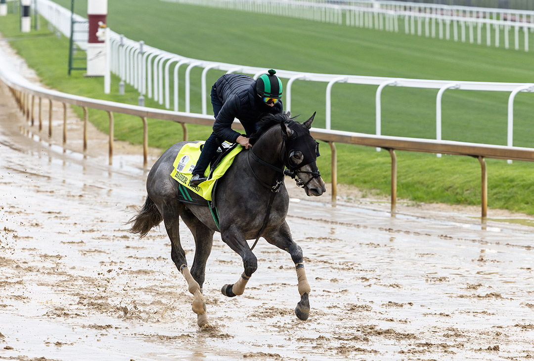 Kentucky Derby: Barber Road well prepared for 20-horse scrum