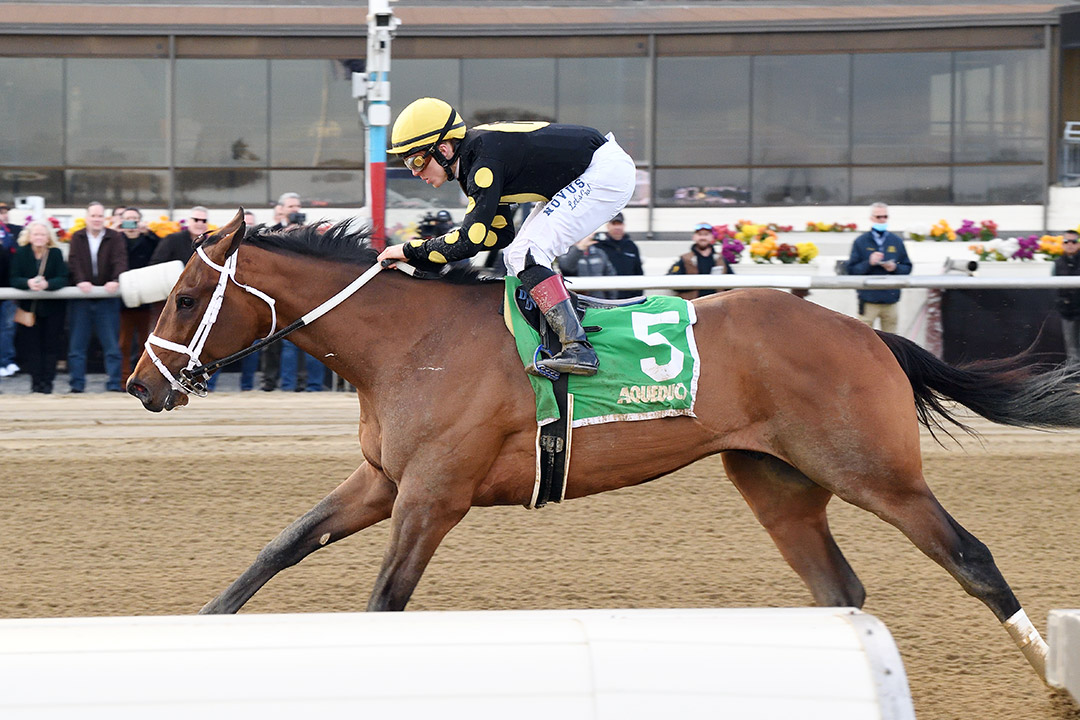 Barese wins the 2022 Gander Stakes at Aqueduct Racetrack