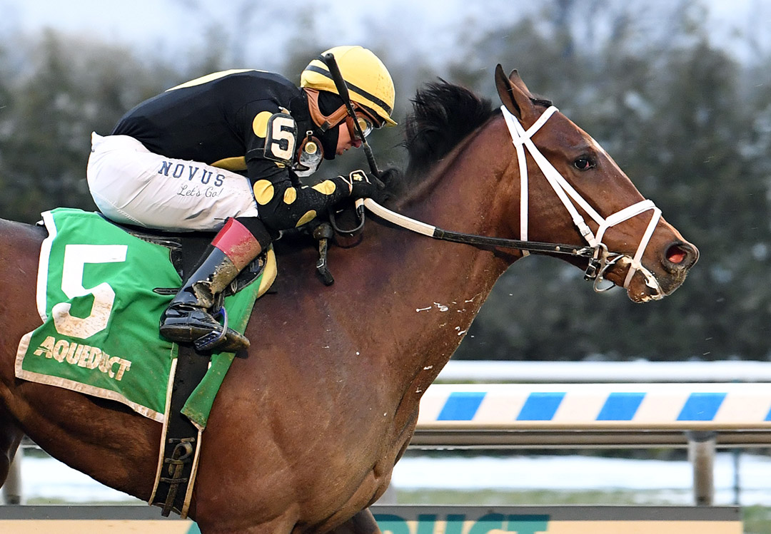 Barese wins the 2022 Rego Park Stakes at Aqueduct
