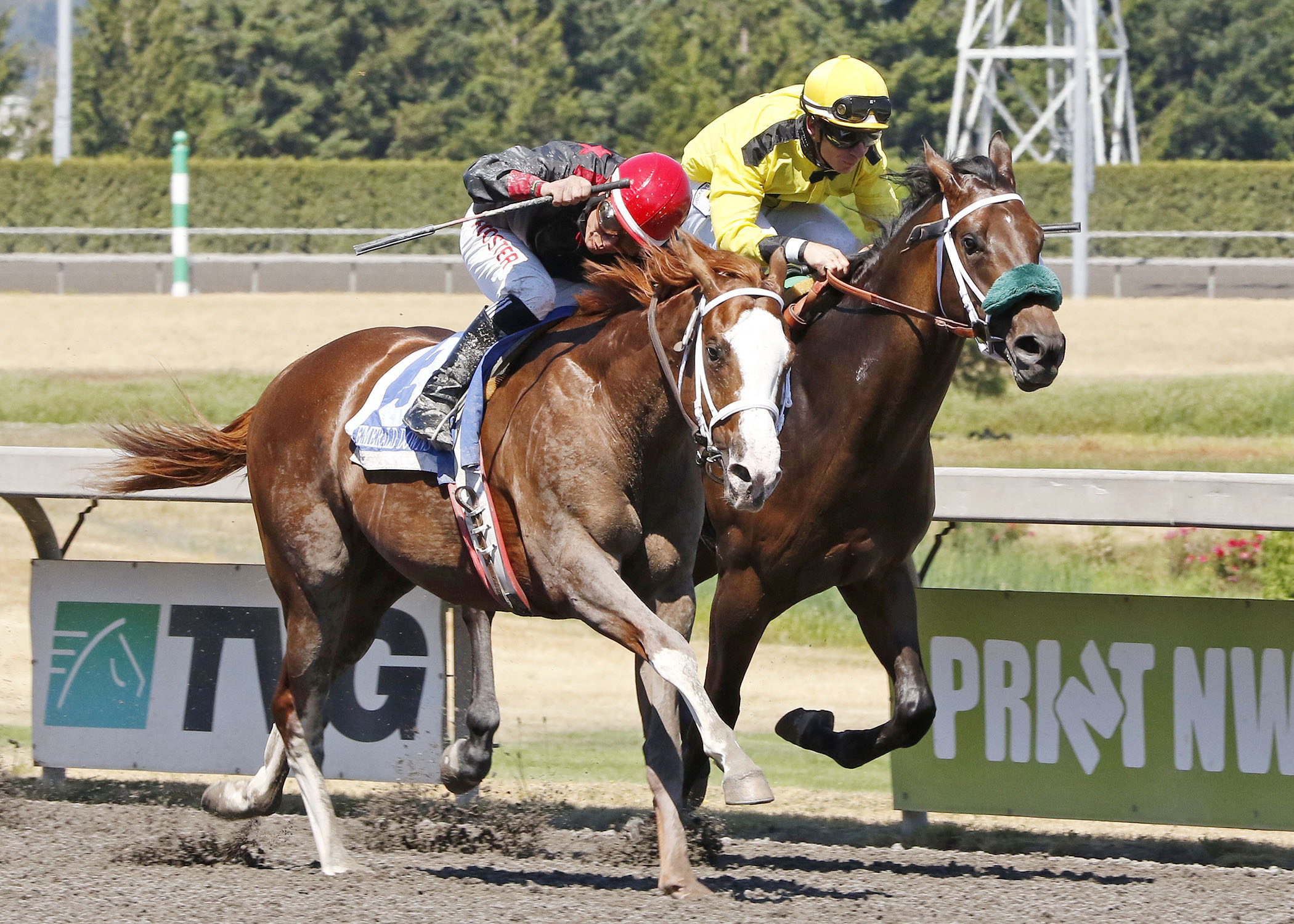 Gold Rush Dancer finishes second in the Emerald Express Stakes
