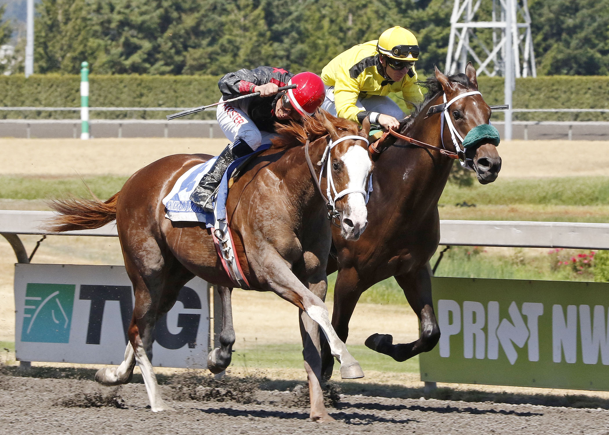 Gold Rush Dancer finishes second in the Emerald Express Stakes