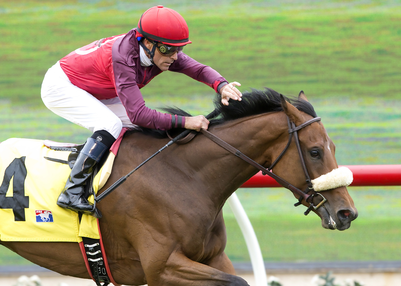 Barleysugar wins the Sandy Blue Handicap