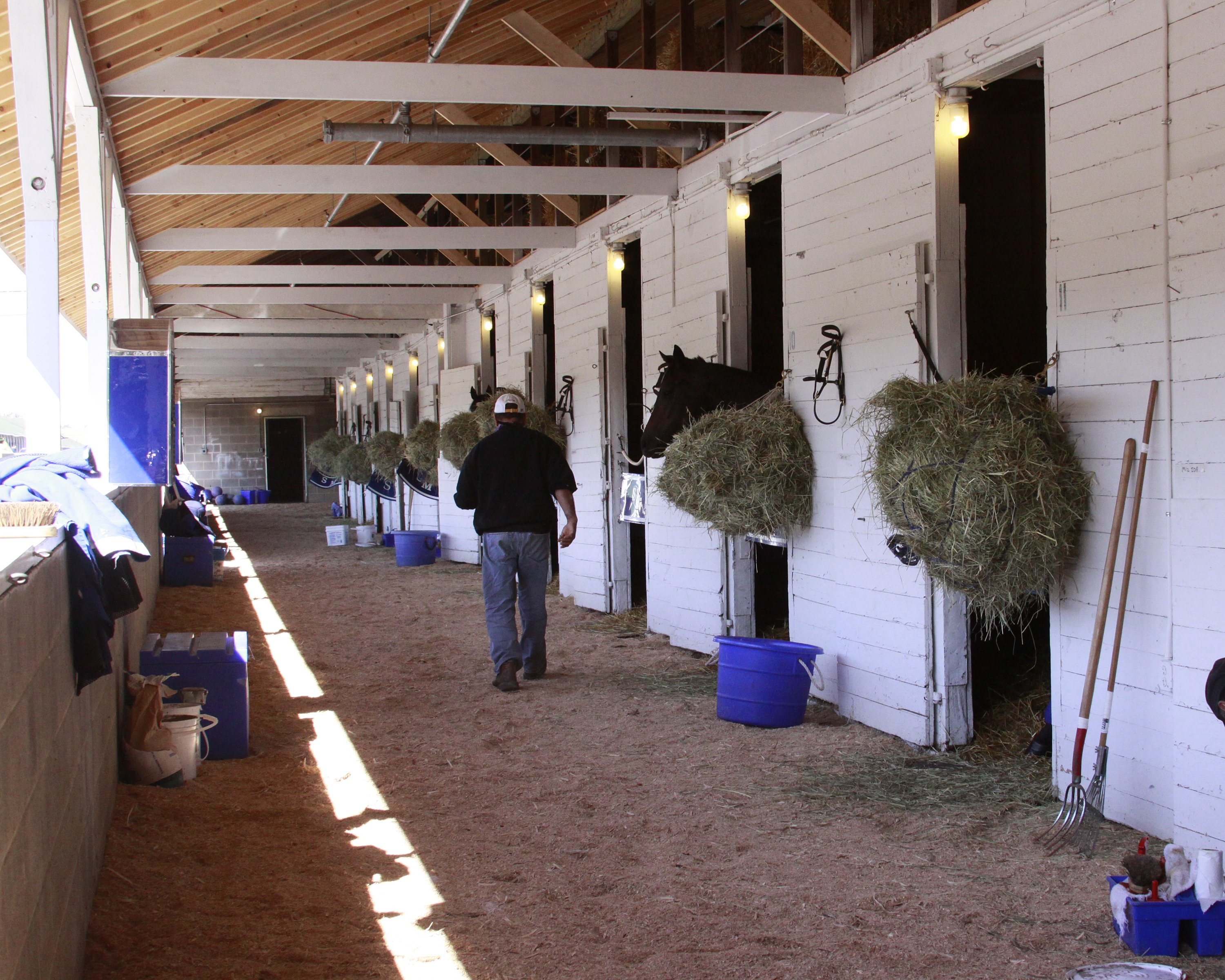 Churchill Downs barns