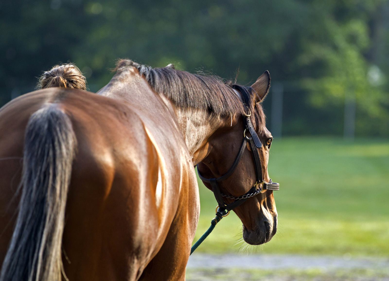 Barnstorming