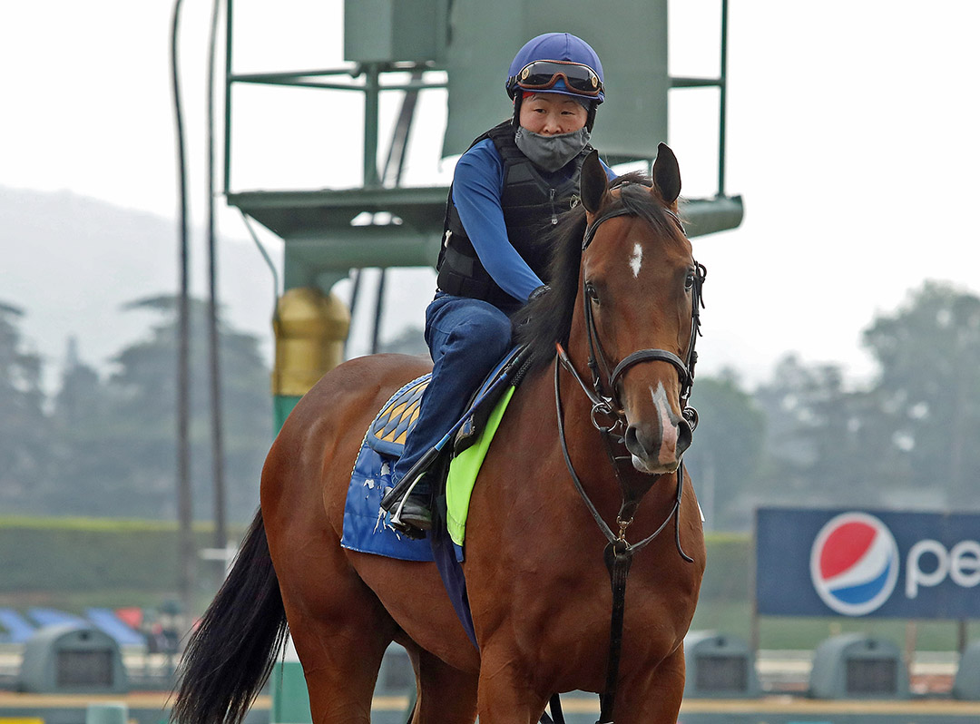 Barossa at Santa Anita on May 28