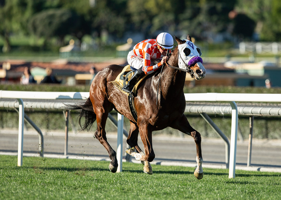 Barraza wins the 2022 Clocker's Corner Stakes at Santa Anita