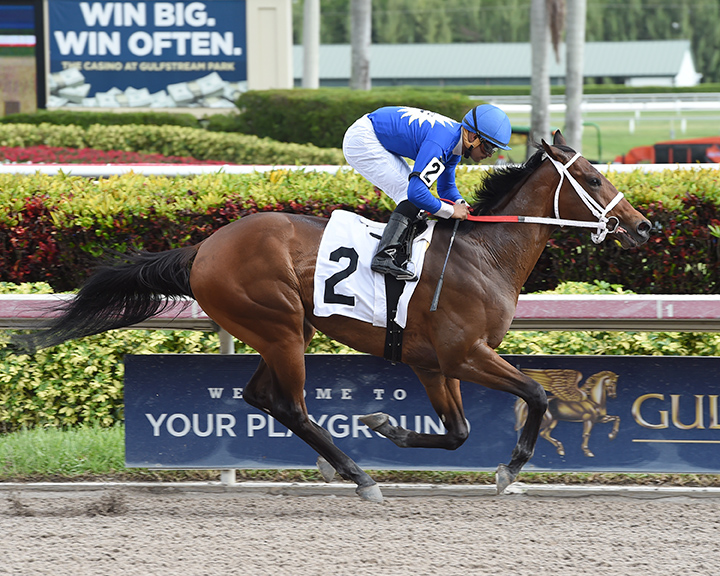 Barry Karafin Bets wins a January 2017 claiming race at Gulfstream Park