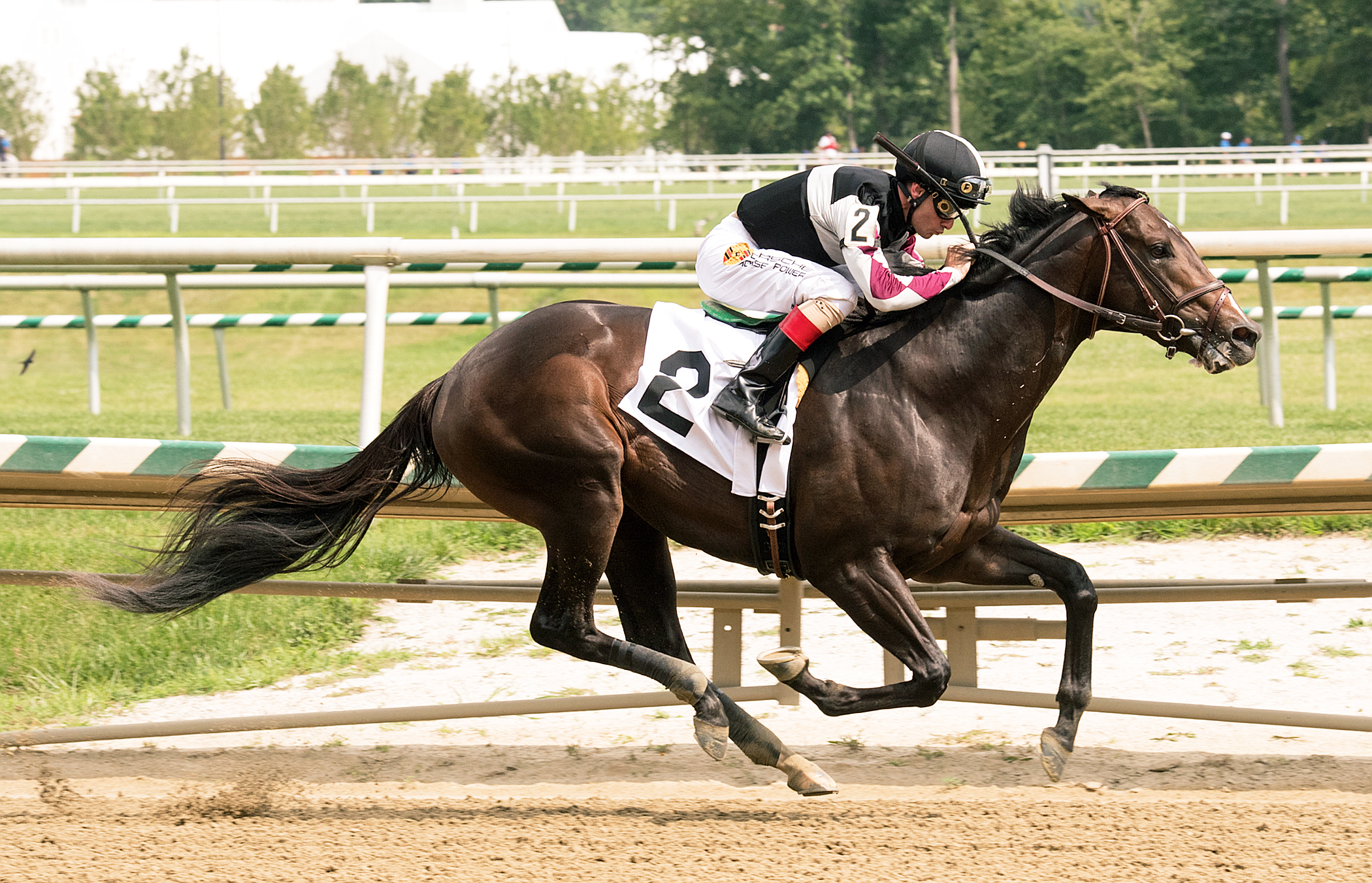 Barry Lee wins a July 14 maiden race