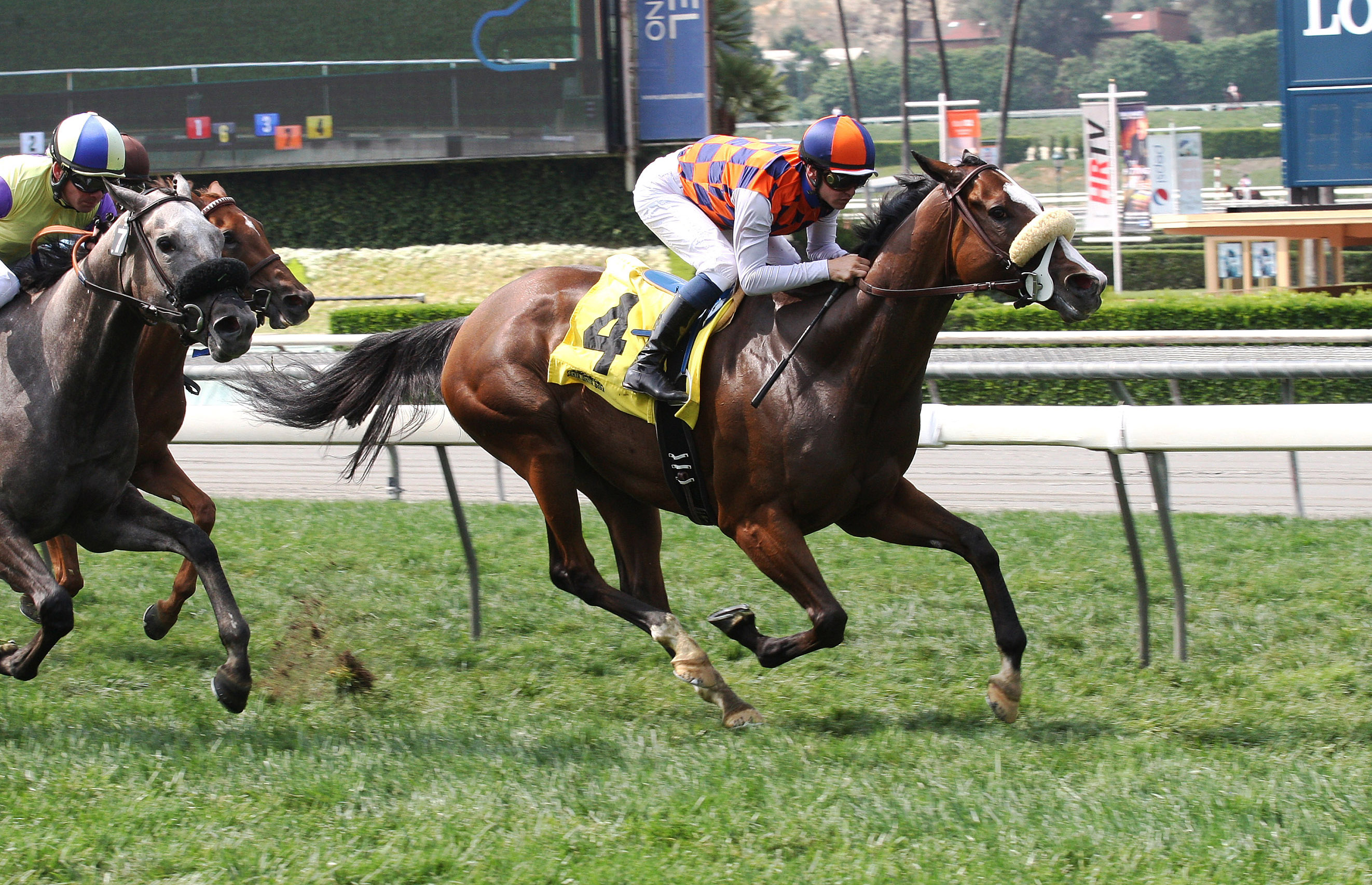 Baruta wins an allowance