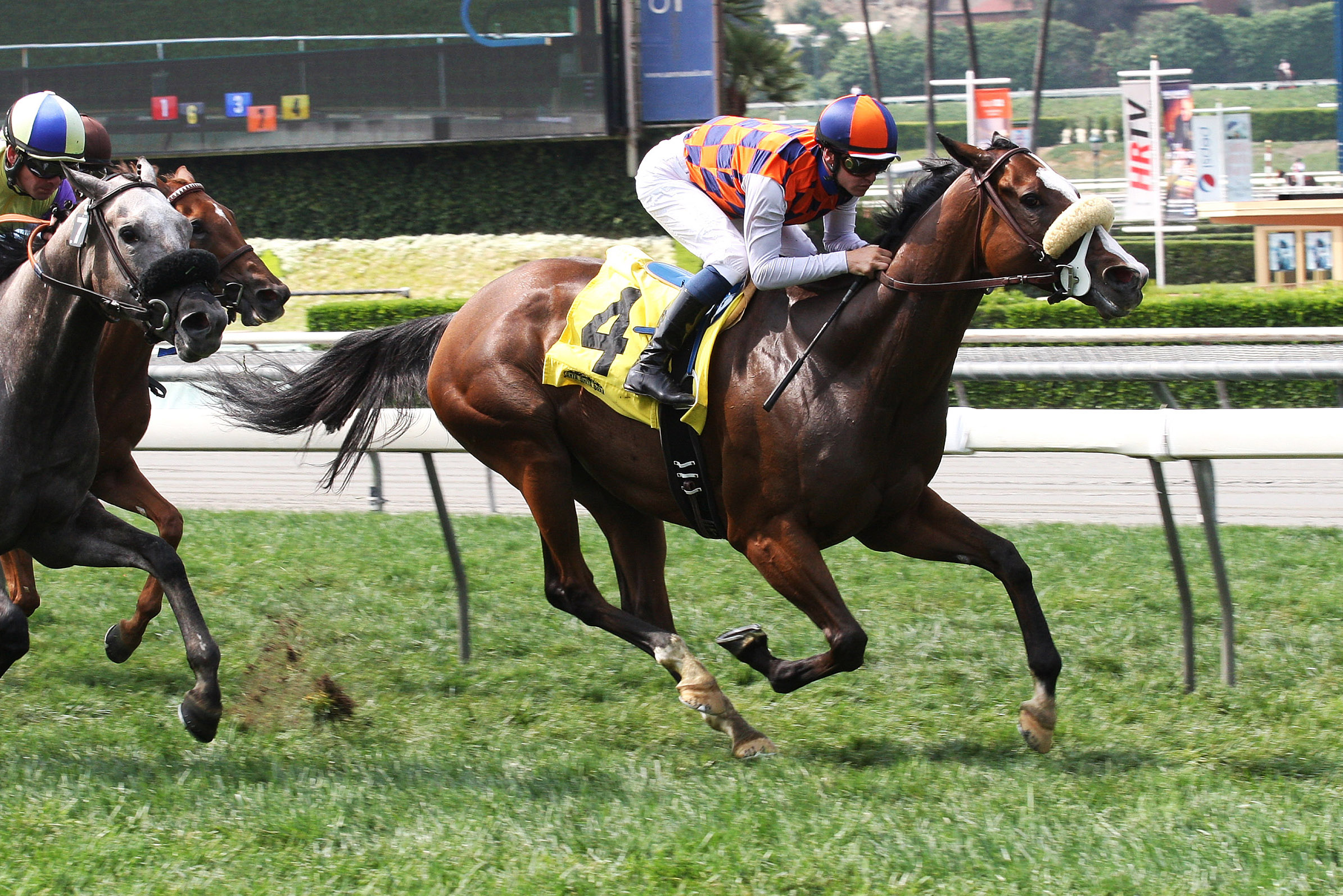 Baruta wins an allowance race