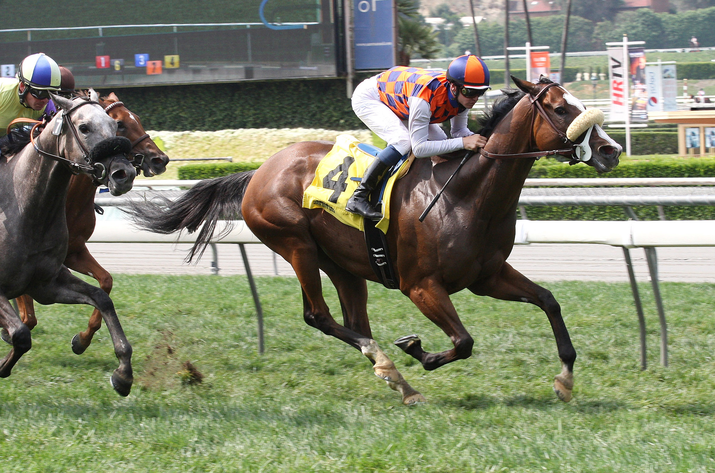 Baruta wins an allowance at Santa Anita
