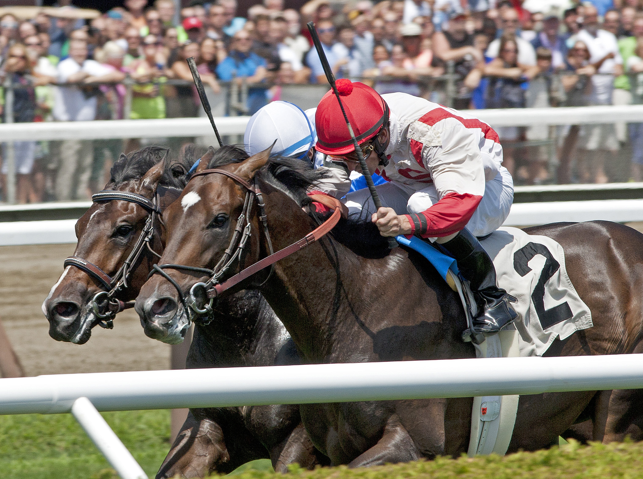 Base Case Scenario, Stroll to Victory, maiden race