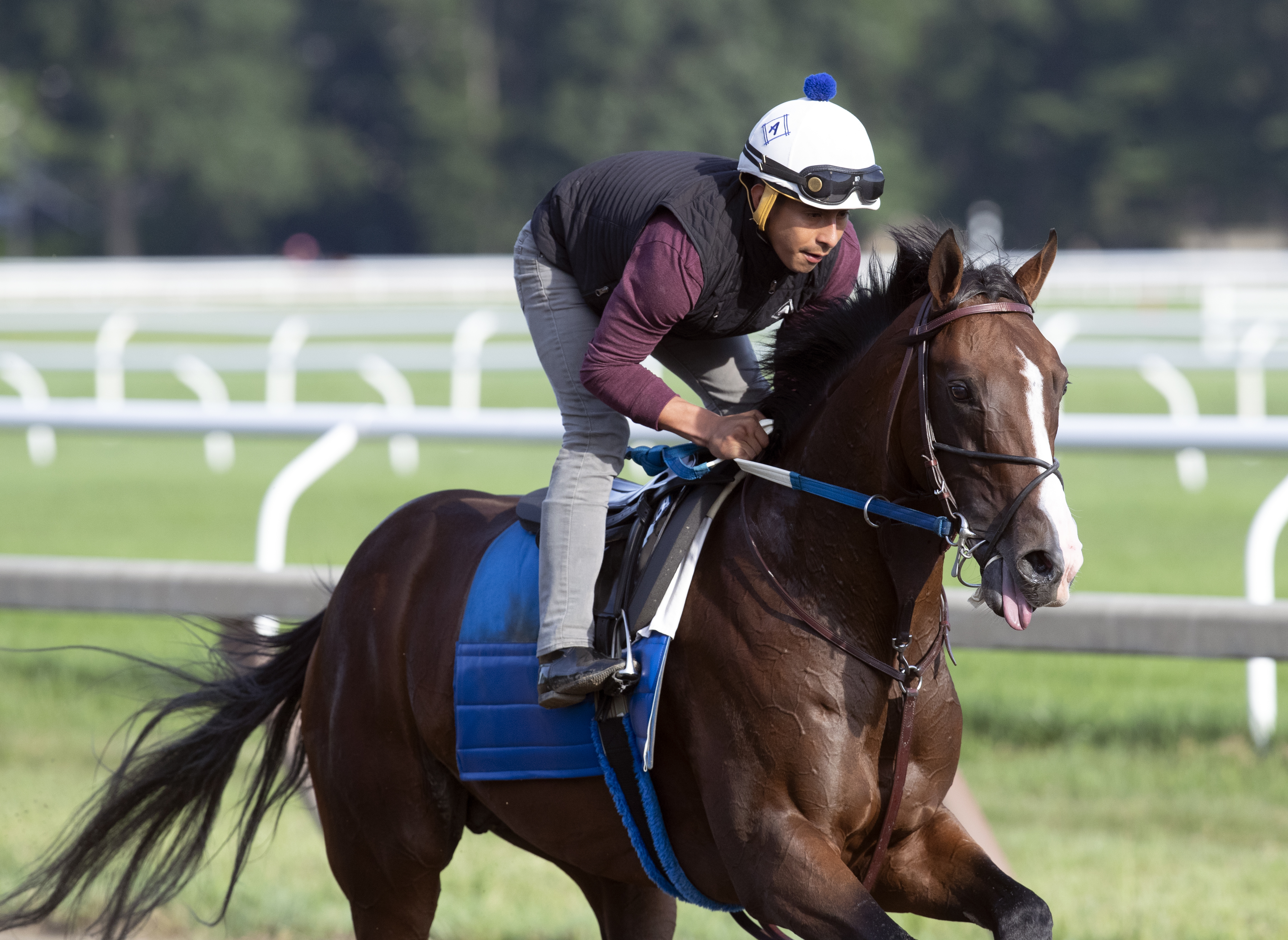Basin trains at Saratoga Race Course on July 25
