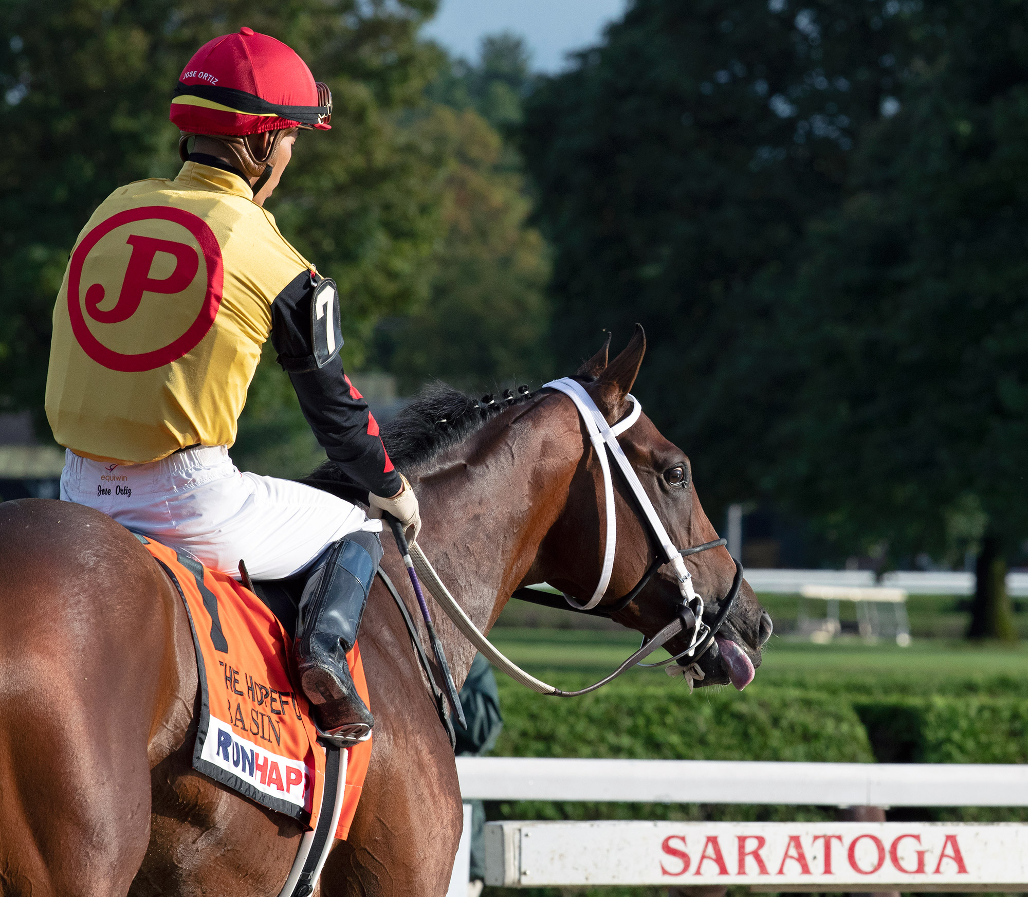 Basin at the Hopeful Stakes at Saratoga Race Course