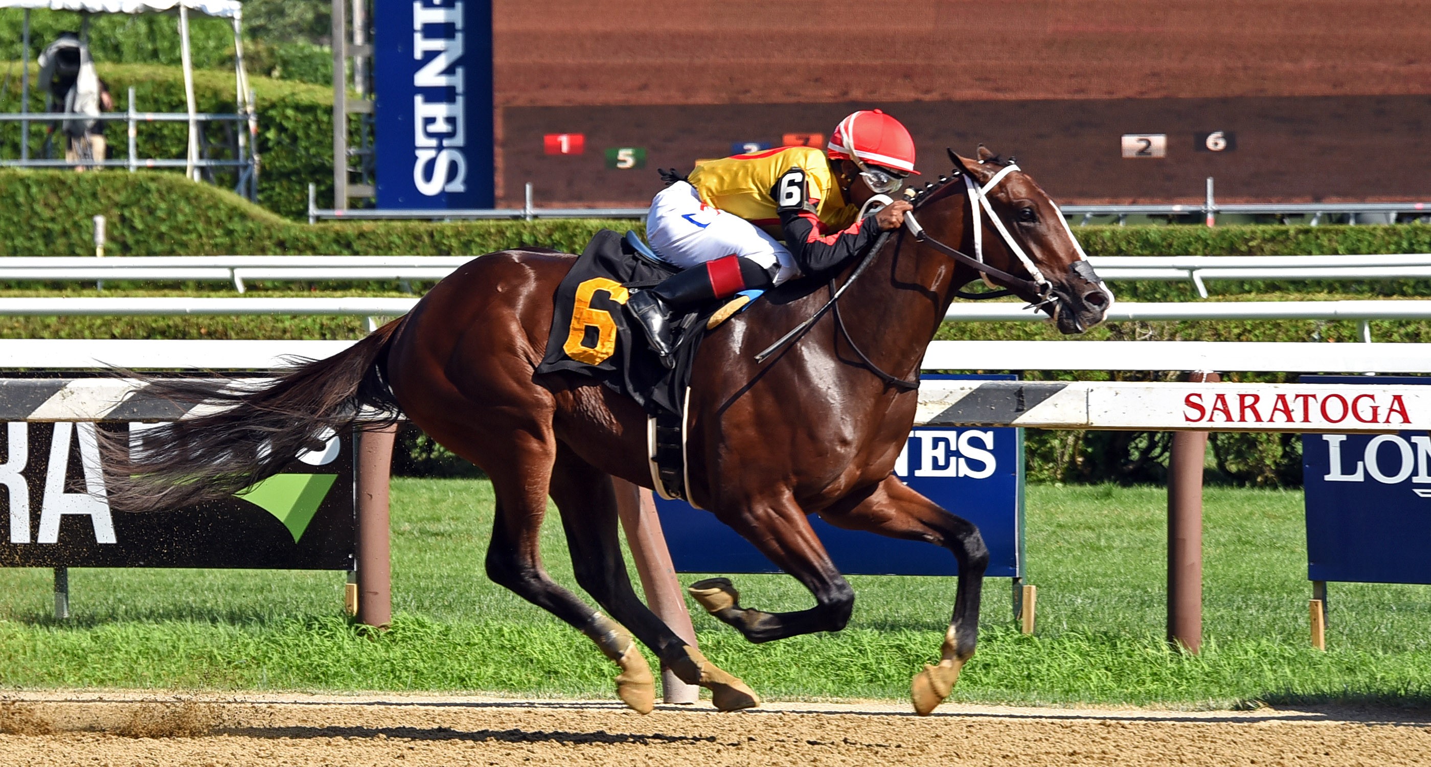 Basin wins a maiden race at Saratoga on 7.21.19