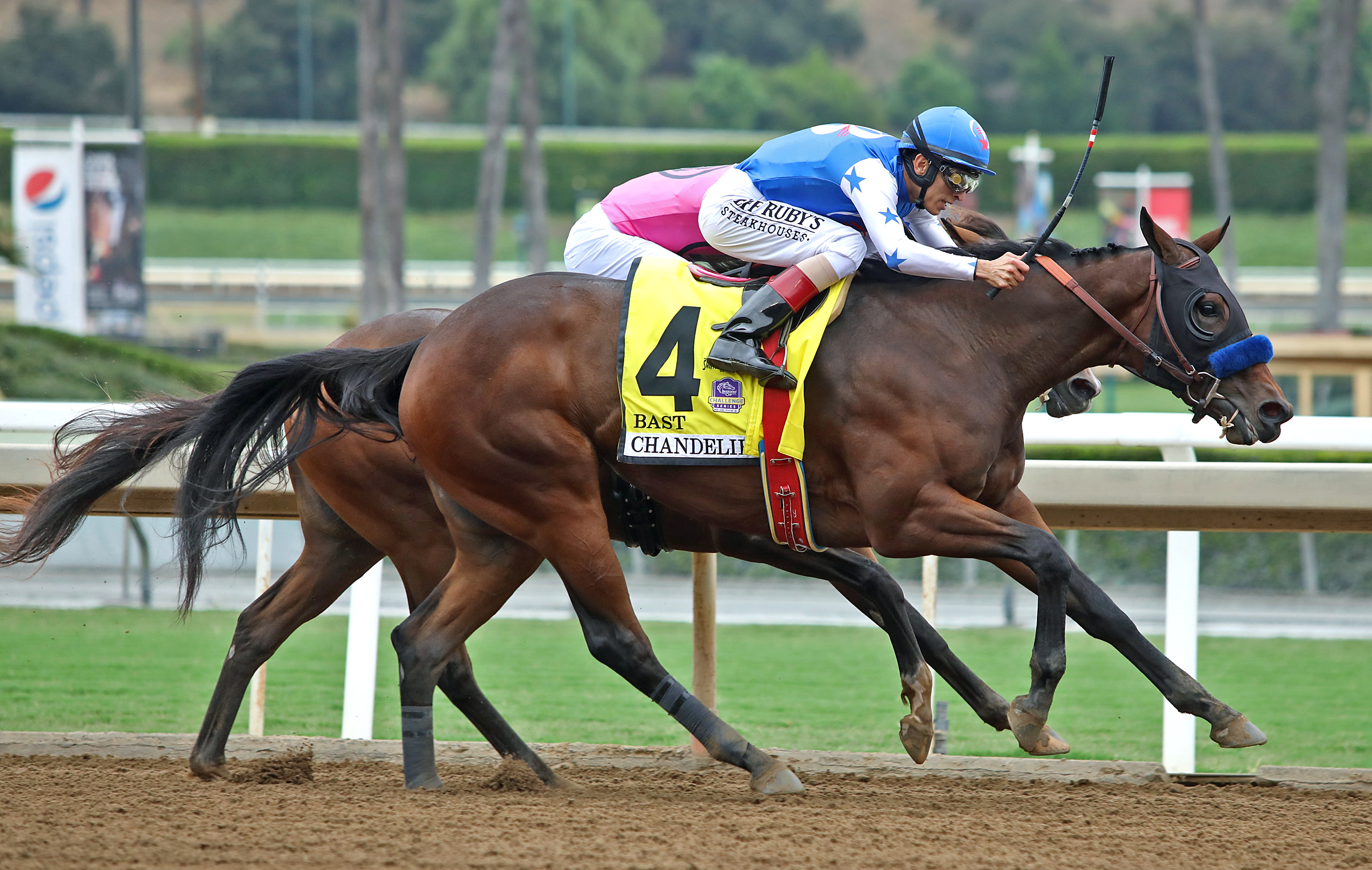 Bast wins the 2019 Chandelier Stakes