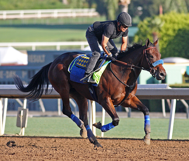 Bast trains at Santa Anita Park on Sept. 21